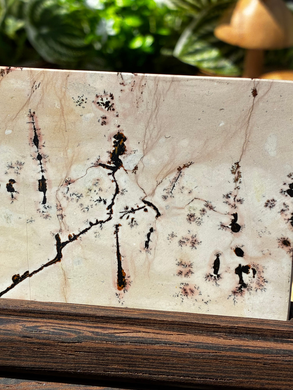 Picture Jasper Slab on Stand