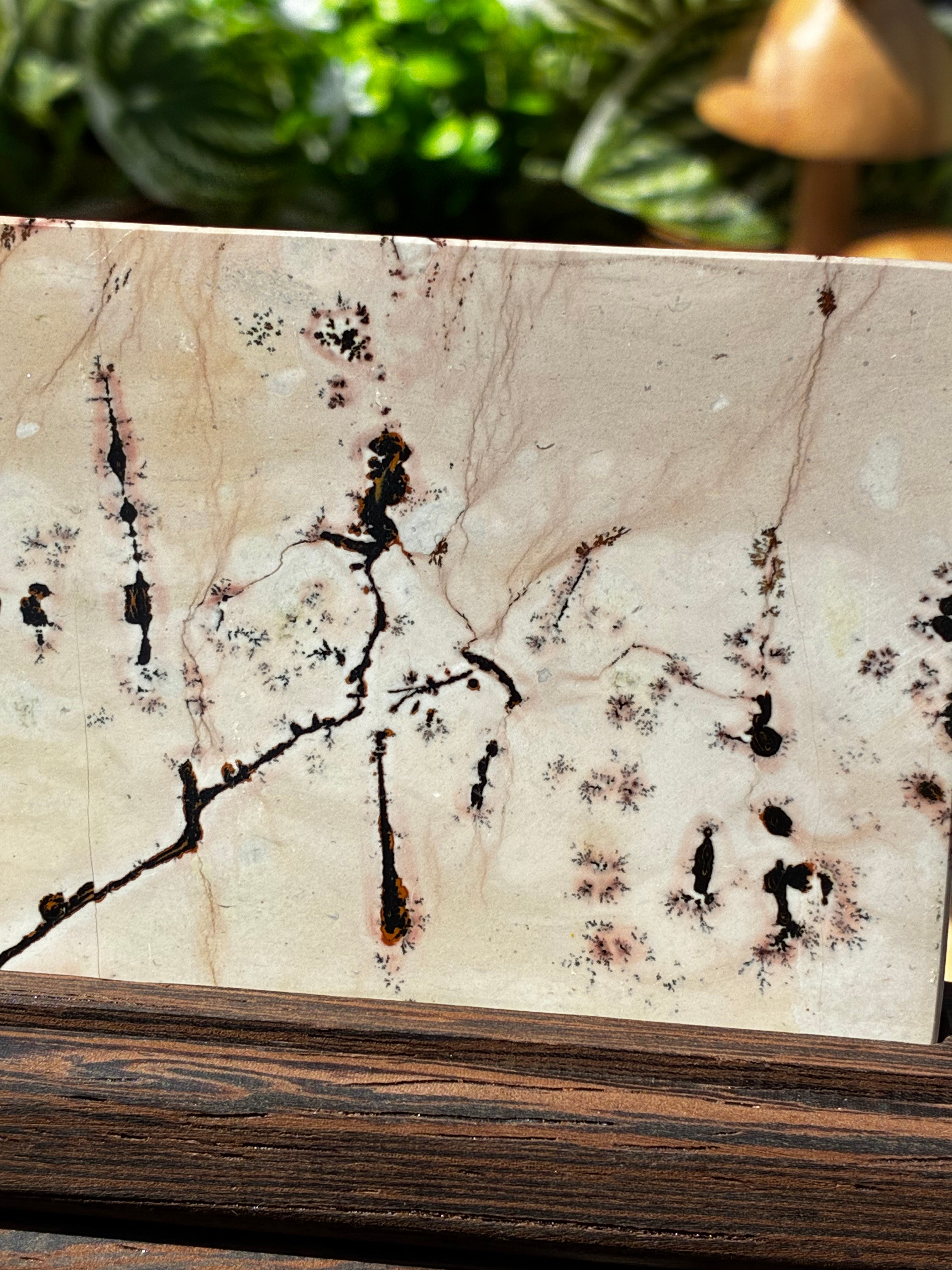 Picture Jasper Slab on Stand