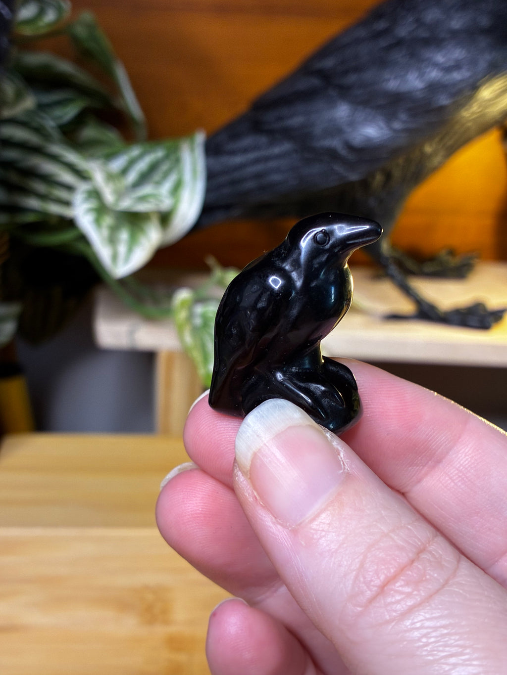 Black Obsidian Raven