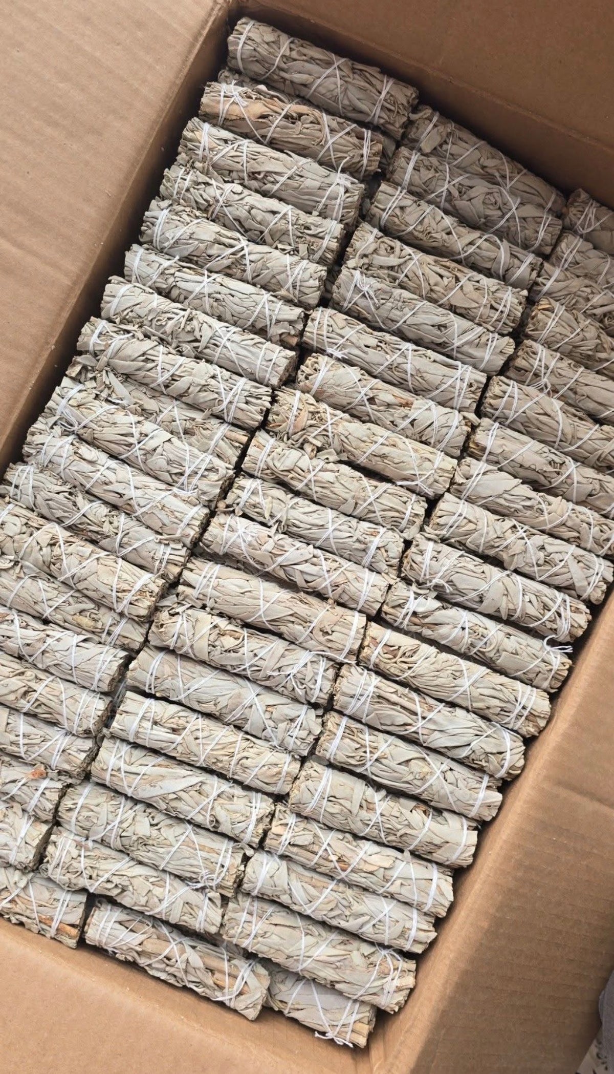 White Sage Smudge Sticks