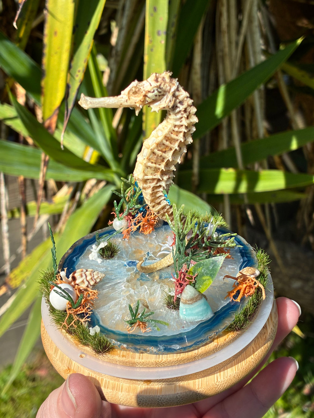The Drowned Keeper Curio