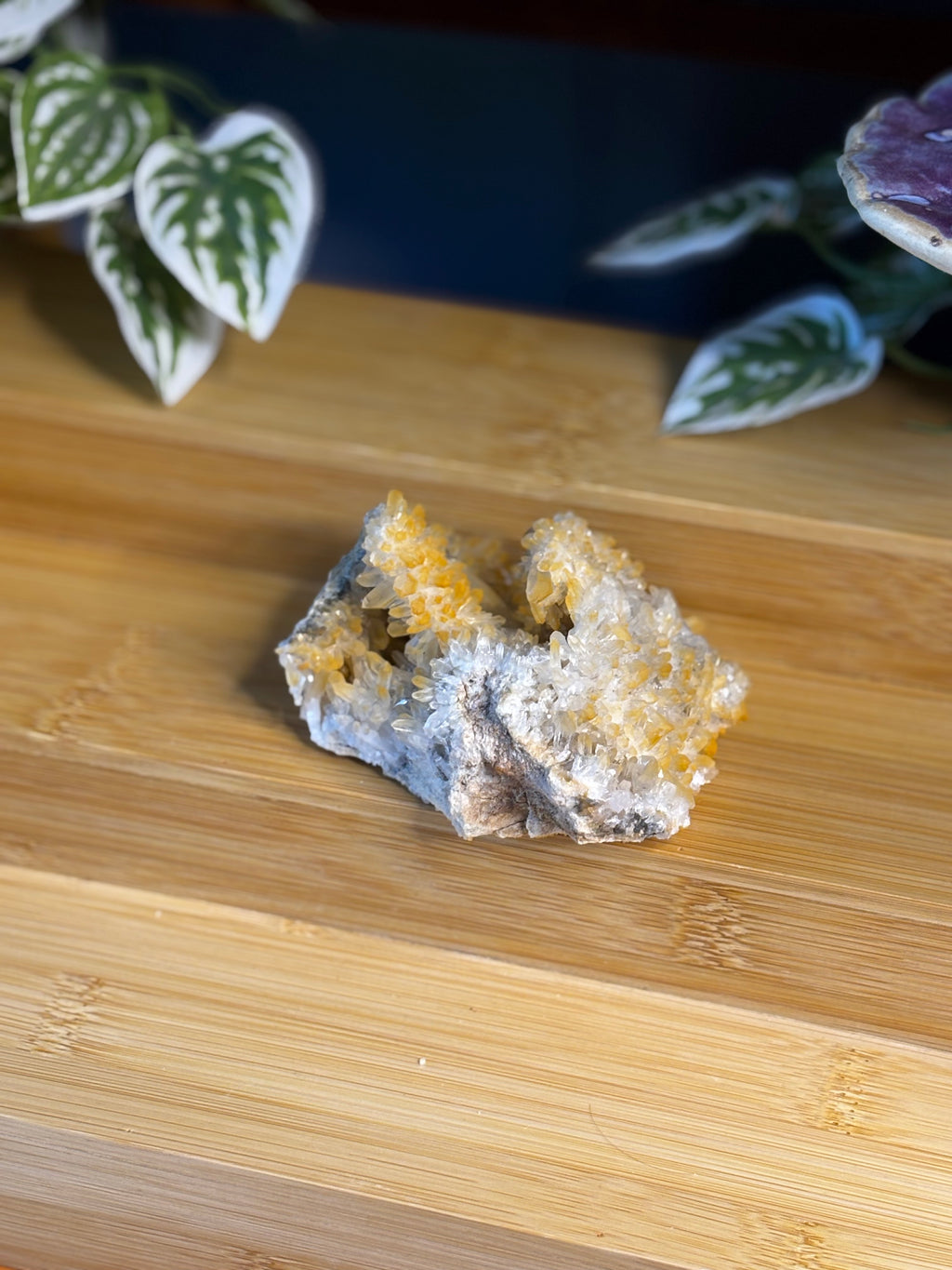 Colombian Needle Quartz