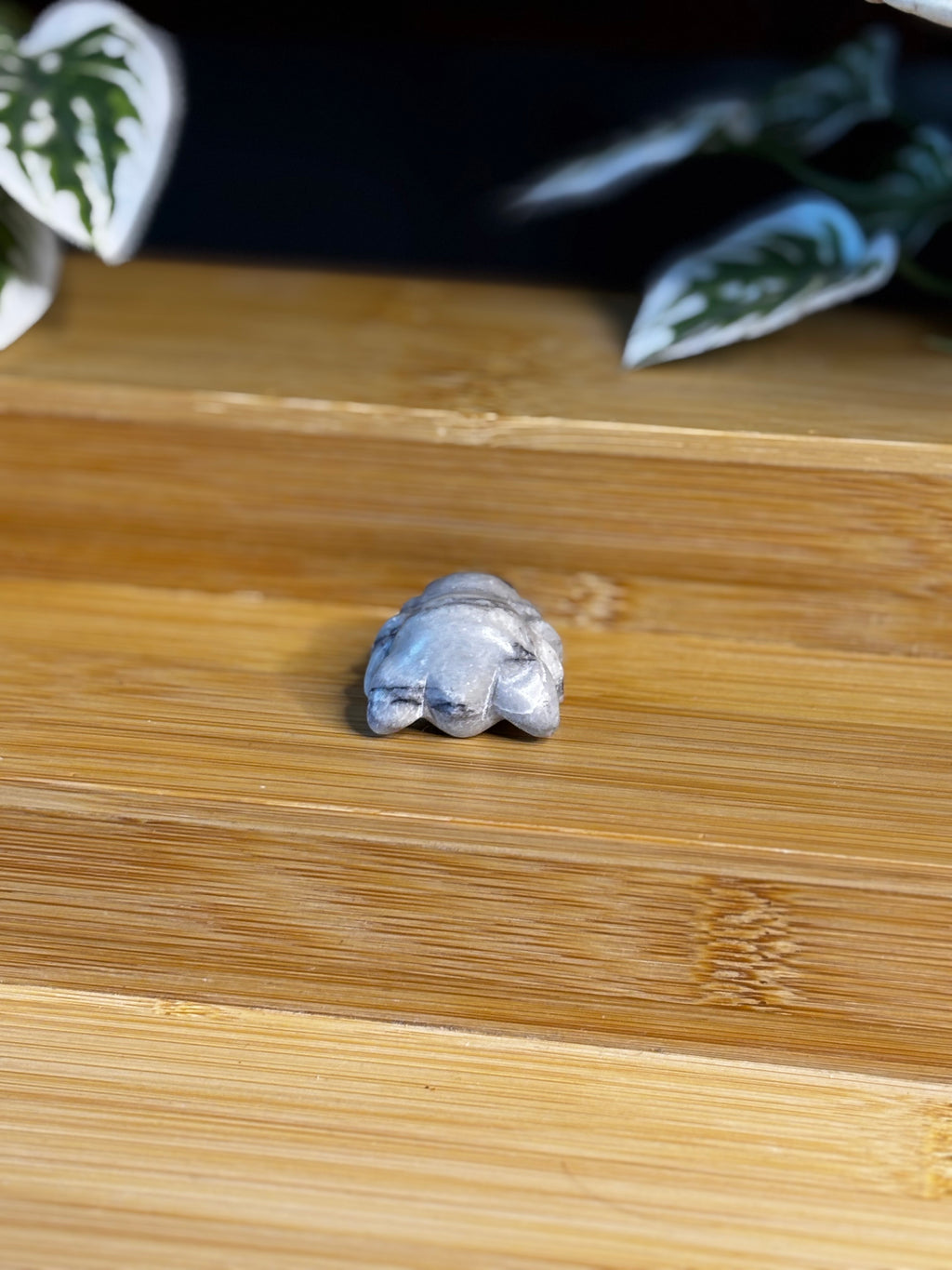 Spider Carving
