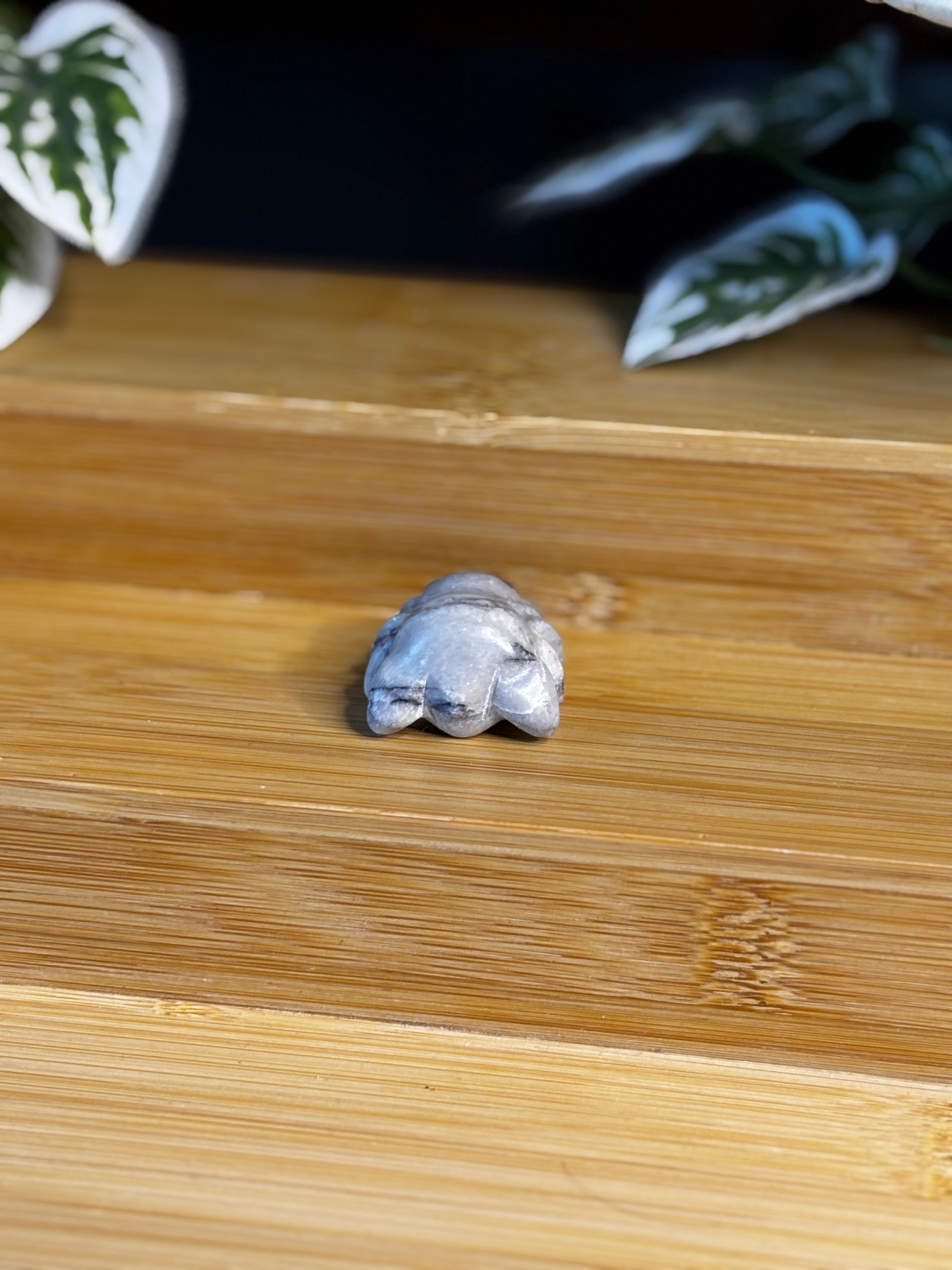 Spider Carving