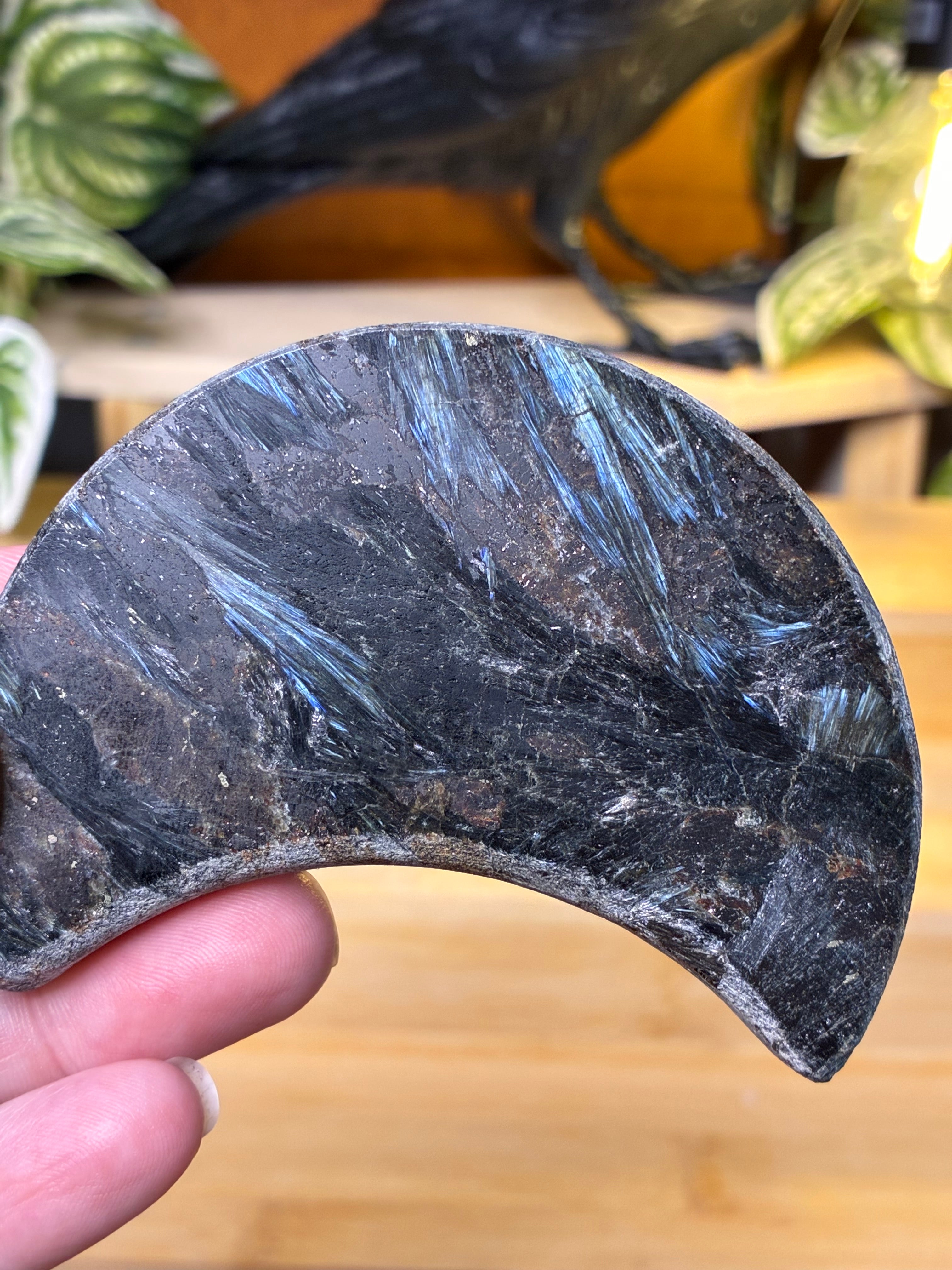Arfvedsonite with Garnet Moon