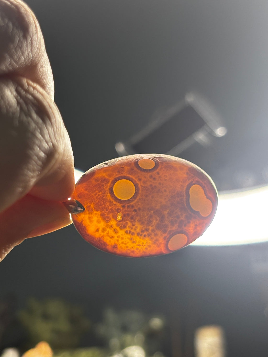 Gobi Agate Pendant 3