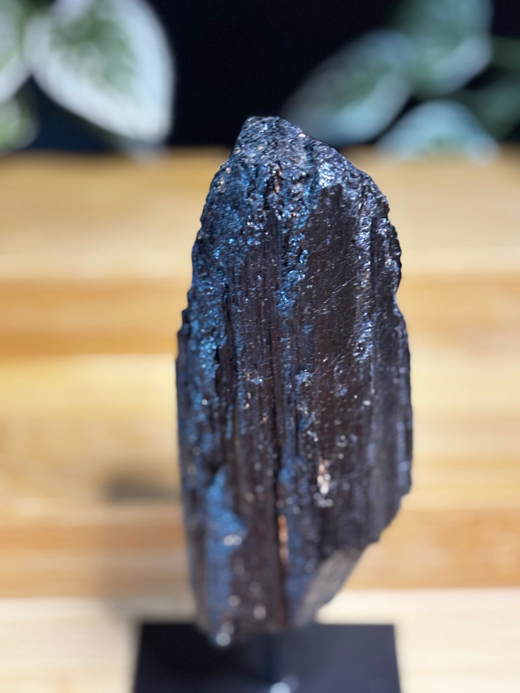 Black Tourmaline on Stand