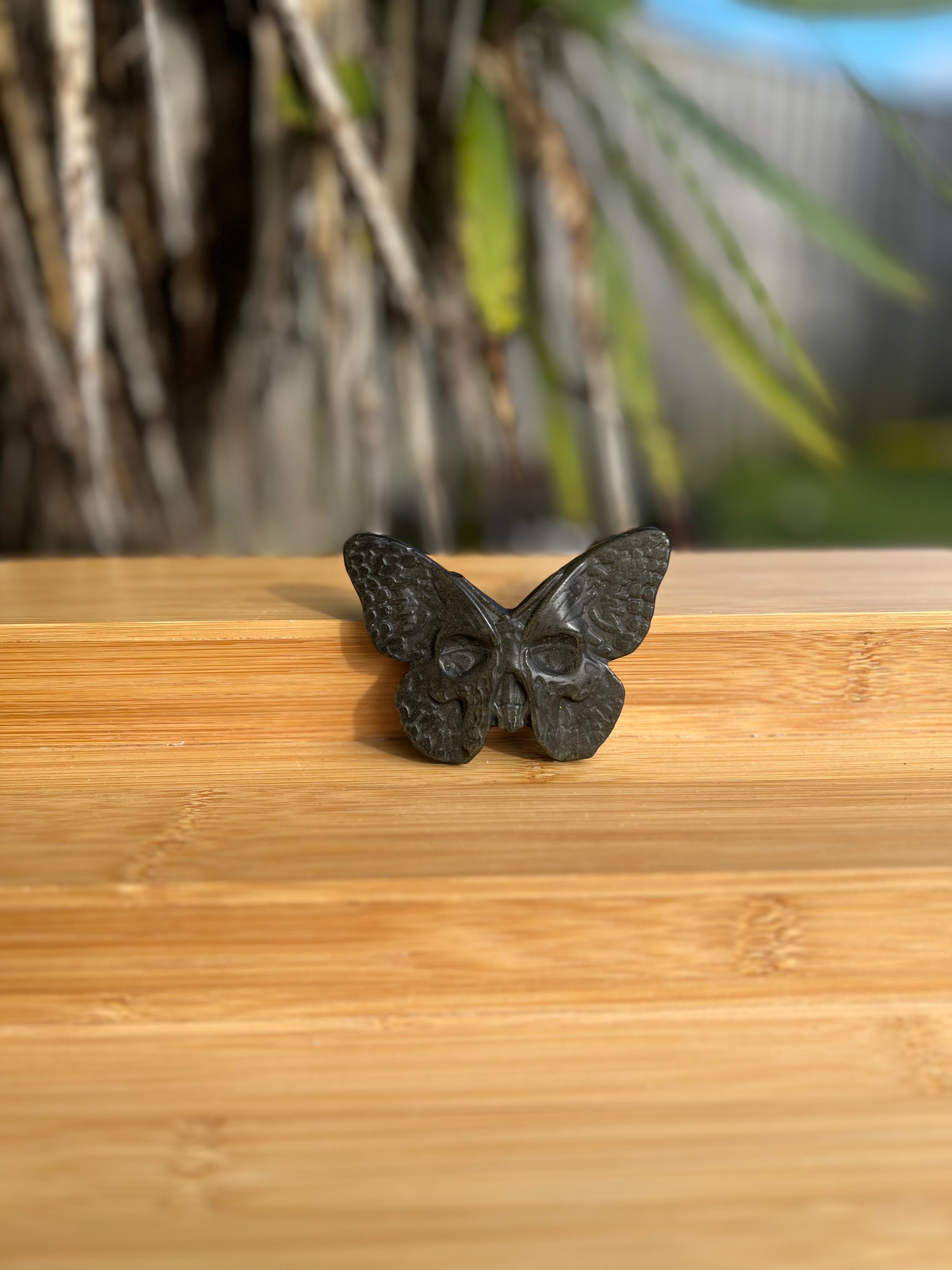 Gold Sheen Obsidian Death Head Moth 2