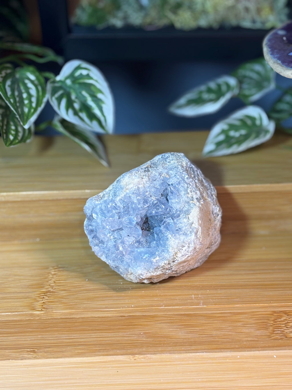 Celestite Cluster 4