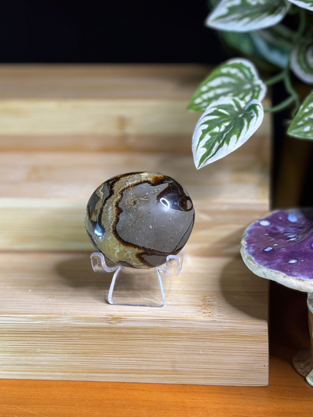 Septarian Palm Stone