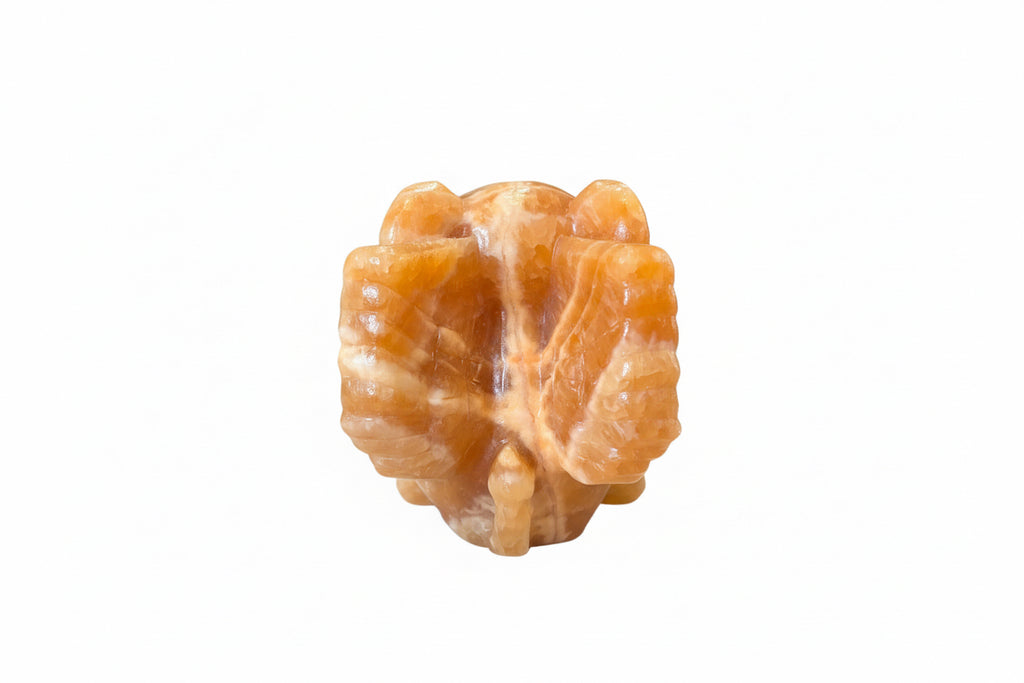 Orange Calcite Winged Elephant