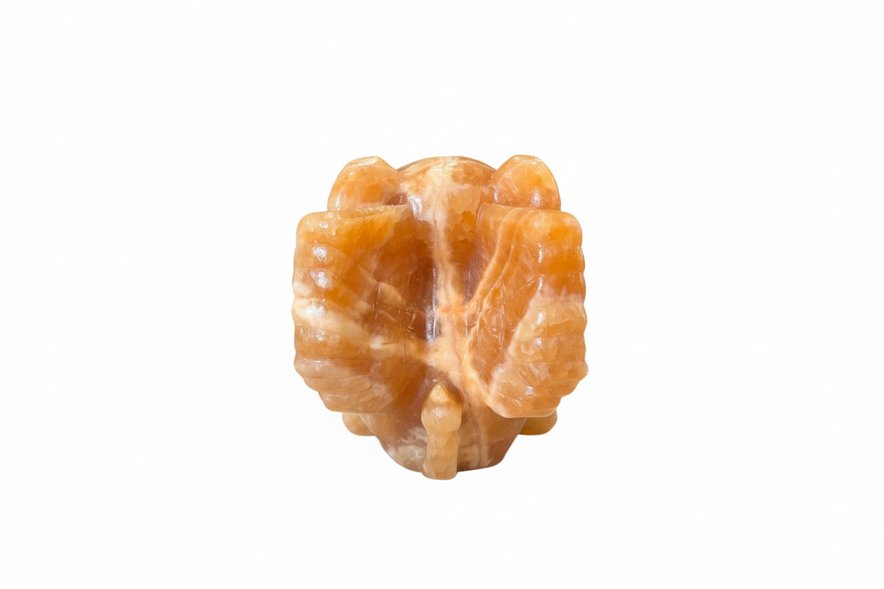 Orange Calcite Winged Elephant