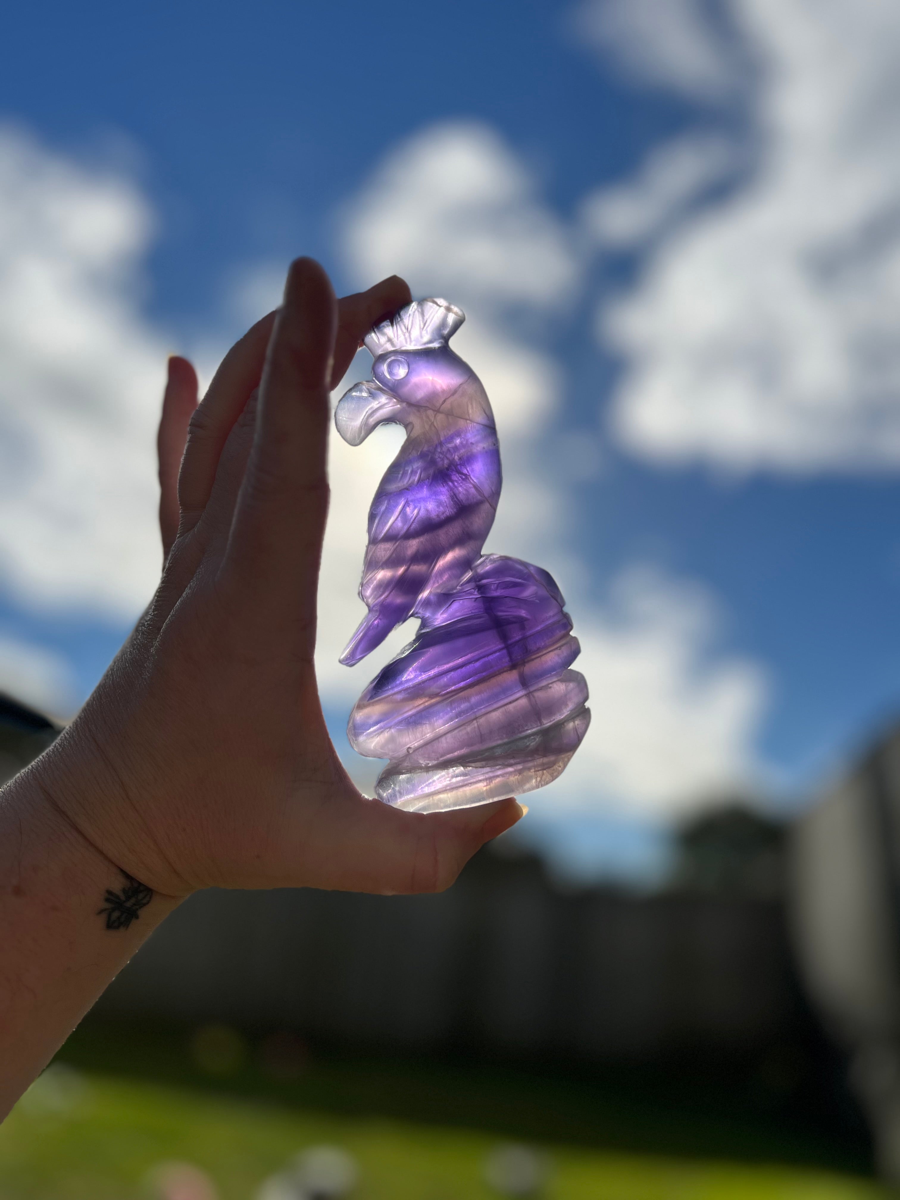 Purple Fluorite Parrot