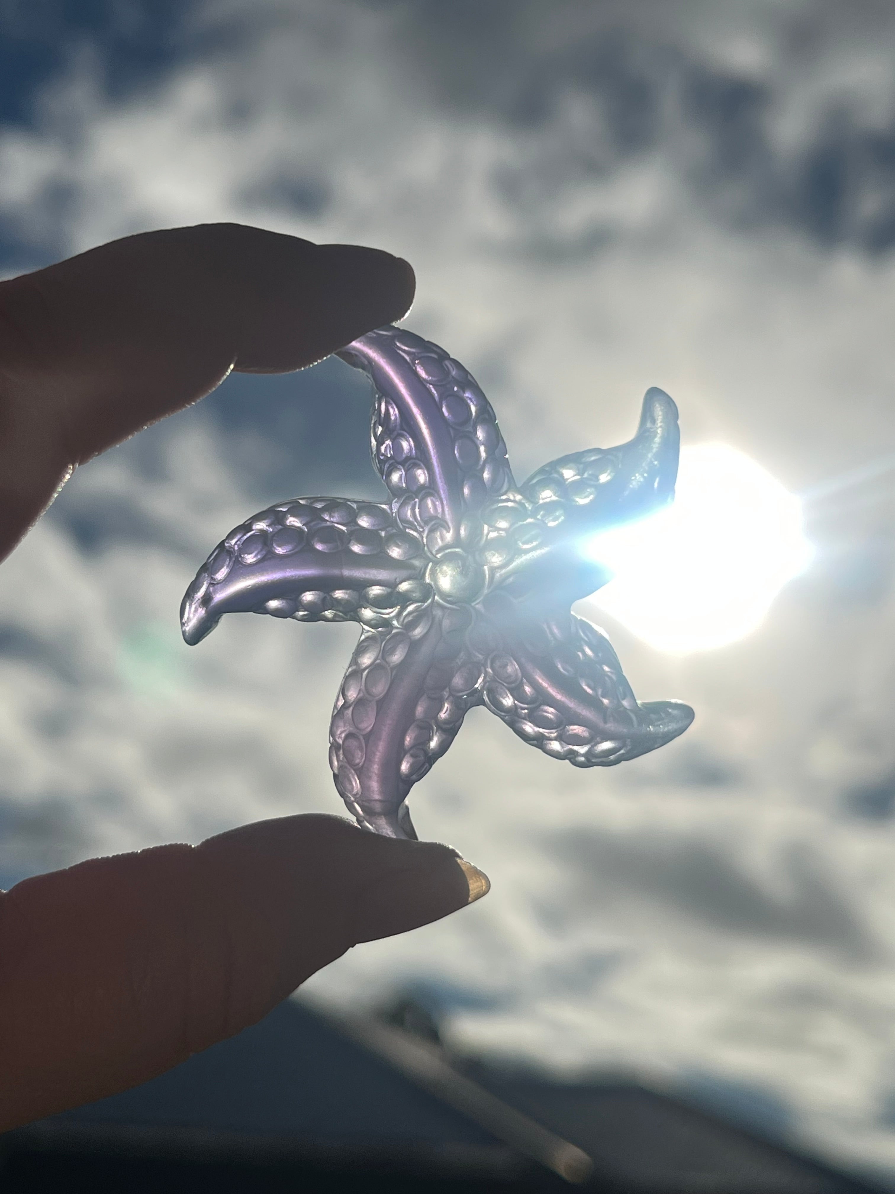Fluorite Starfish 1