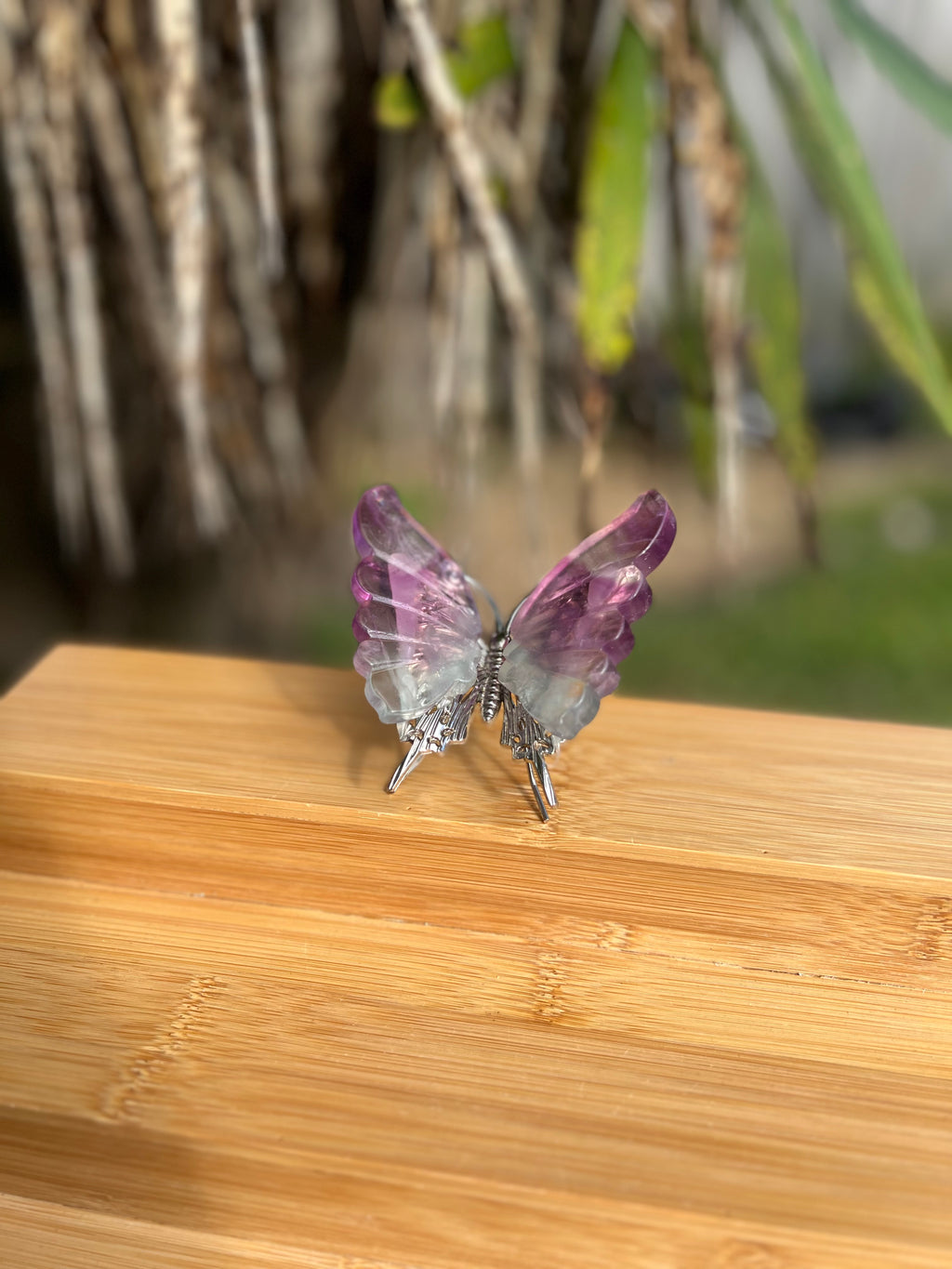 Fluorite Butterfly 1