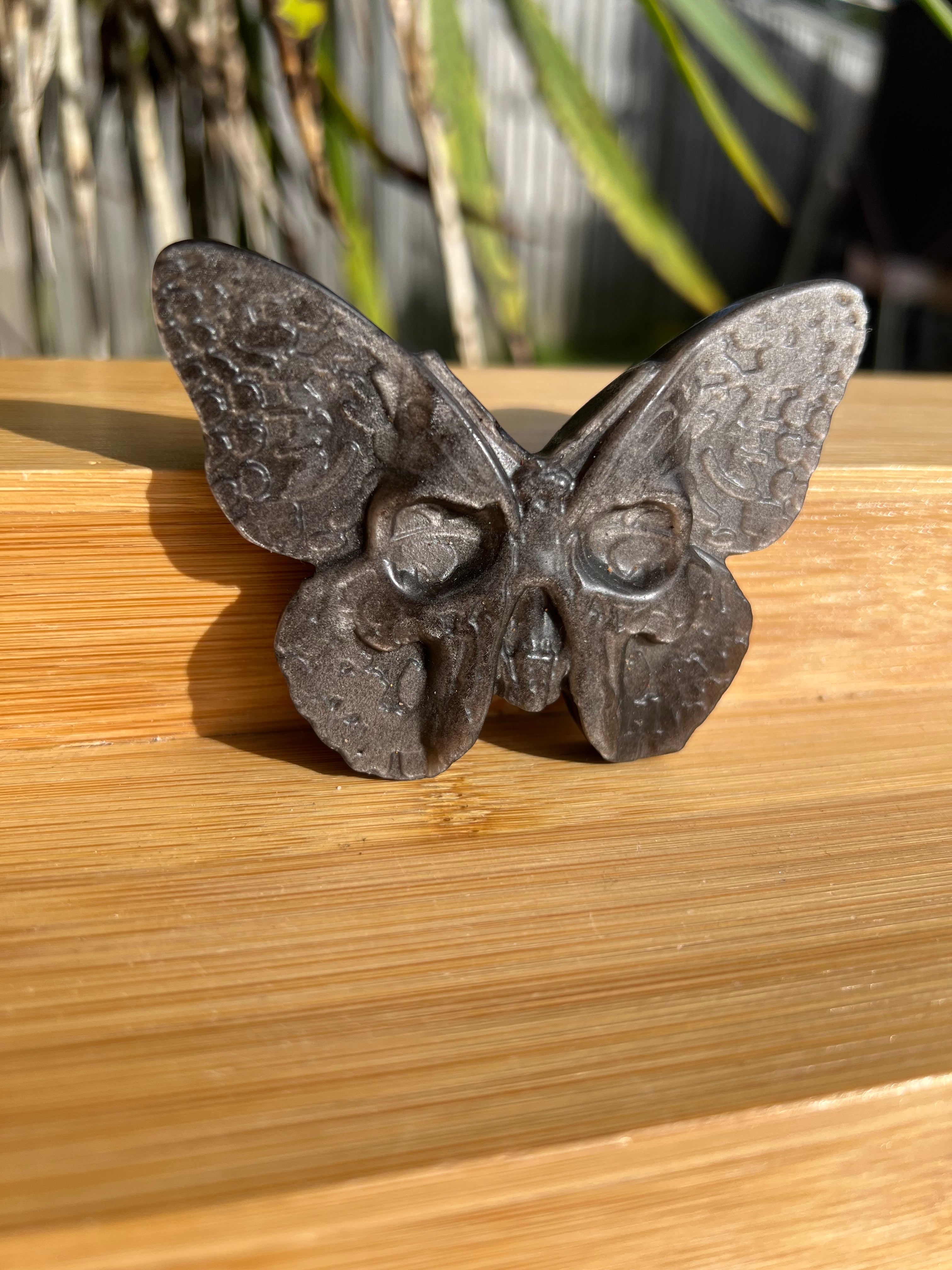 Silver Sheen Obsidian Death Head Moth 2