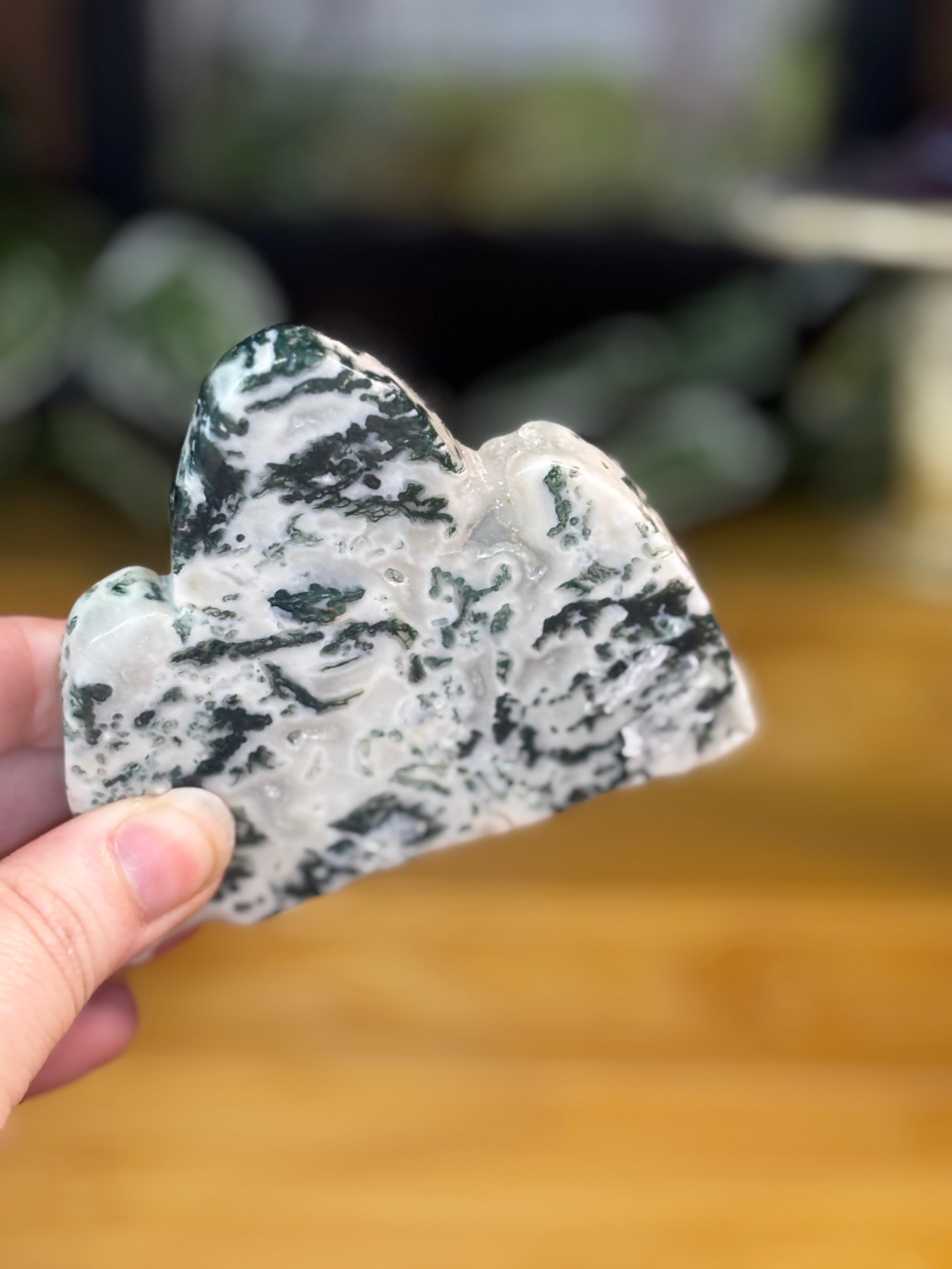 Tree Agate Freeform