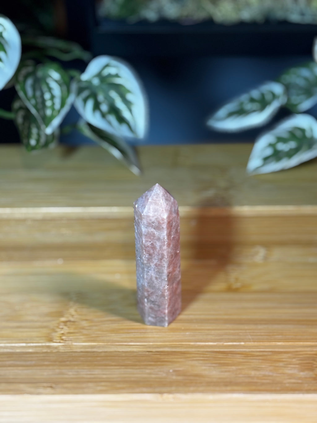 Sunstone Point 4