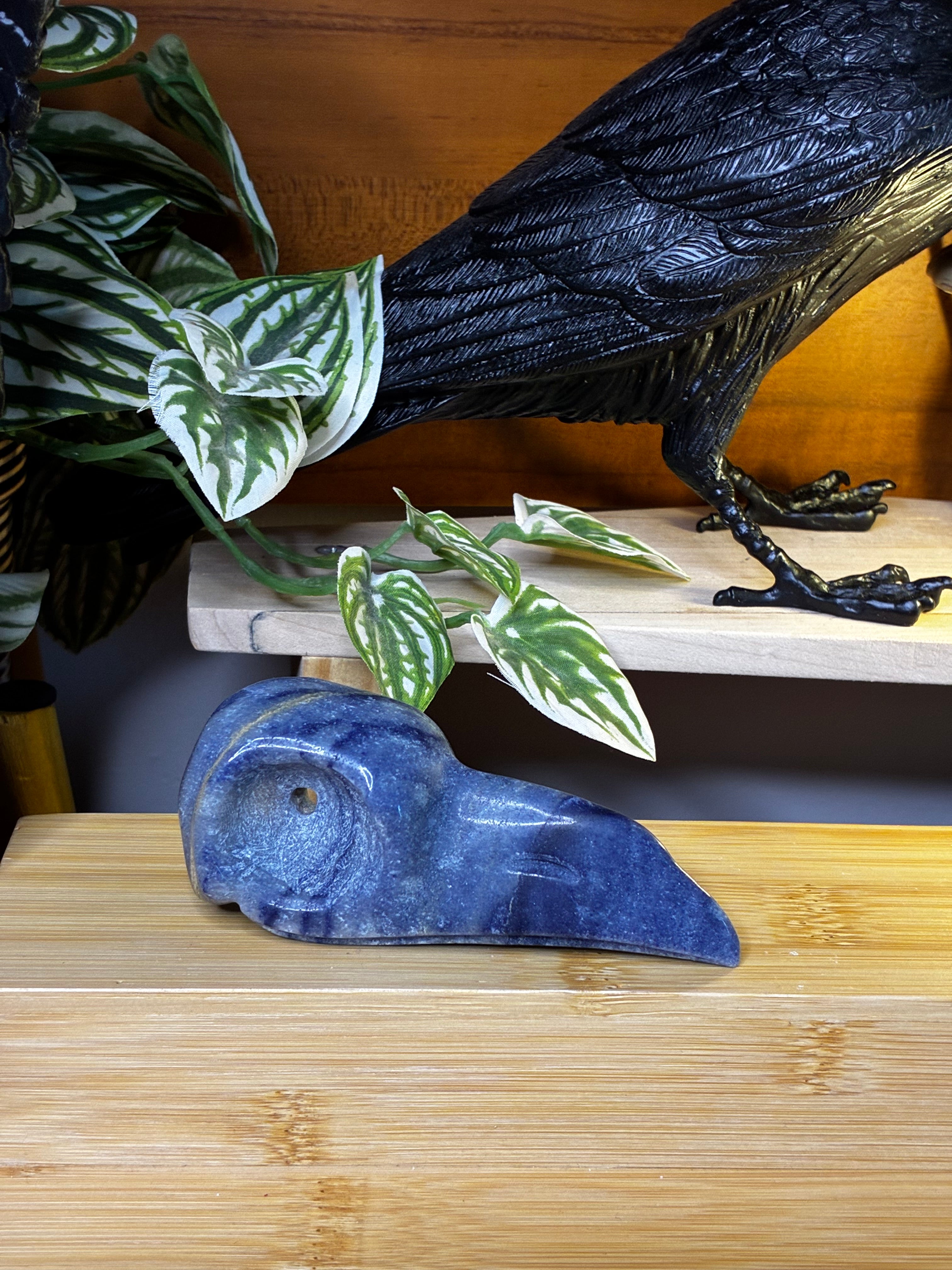 Blue Aventurine Raven Skull