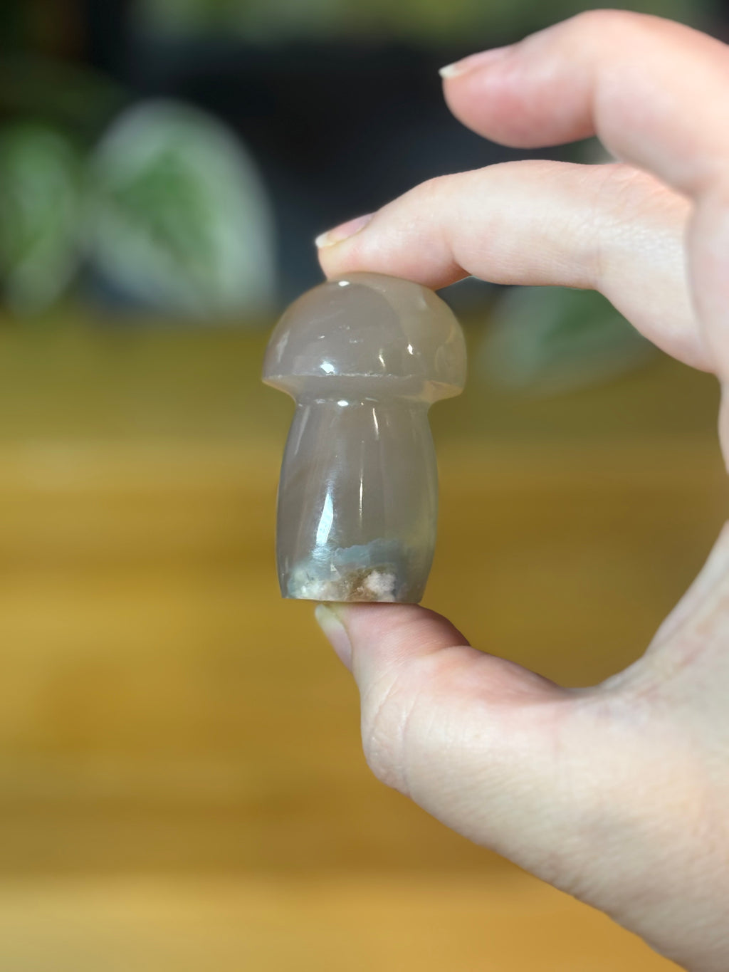 Flower Agate Mushroom