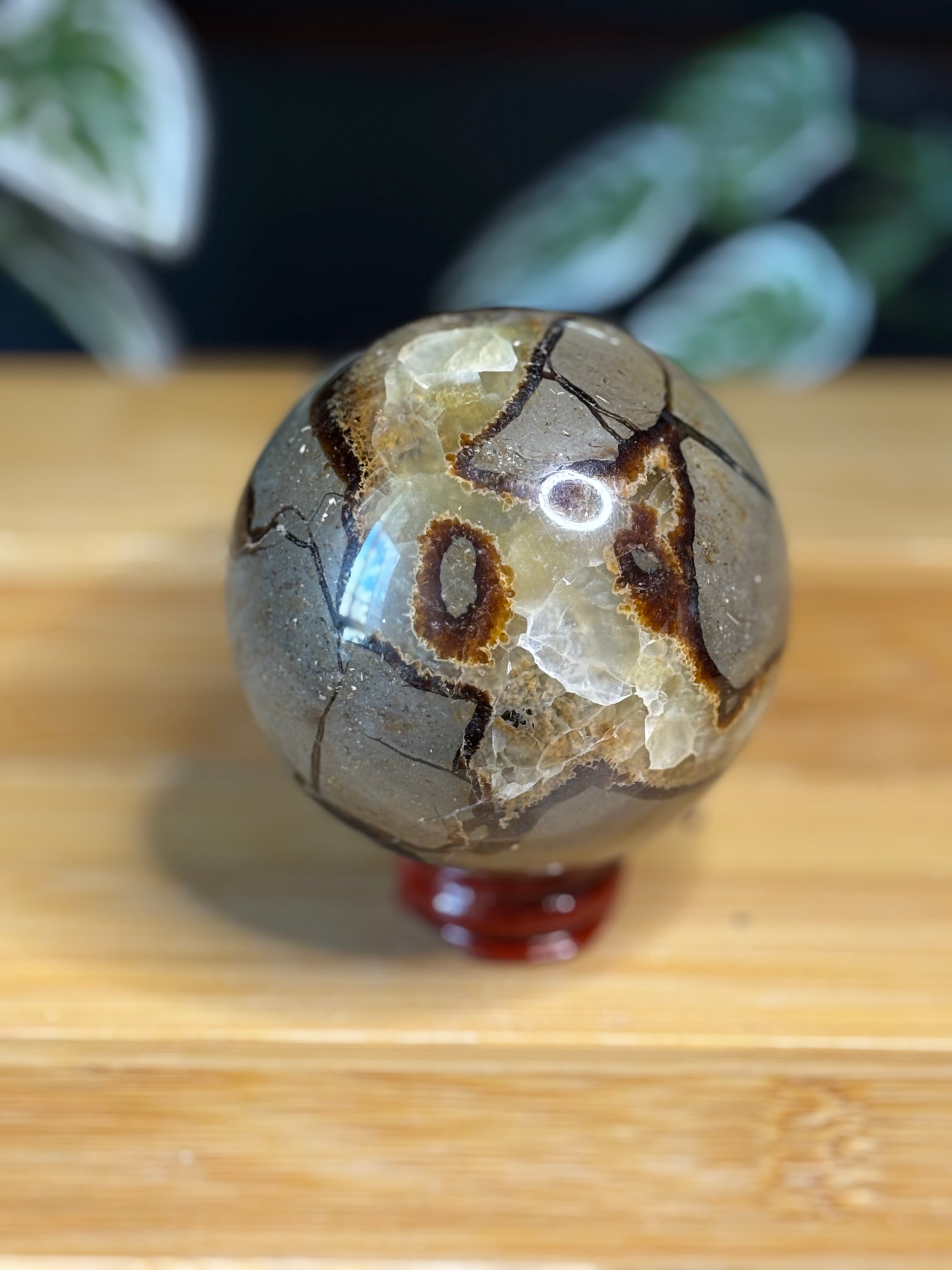Septarian Sphere 1