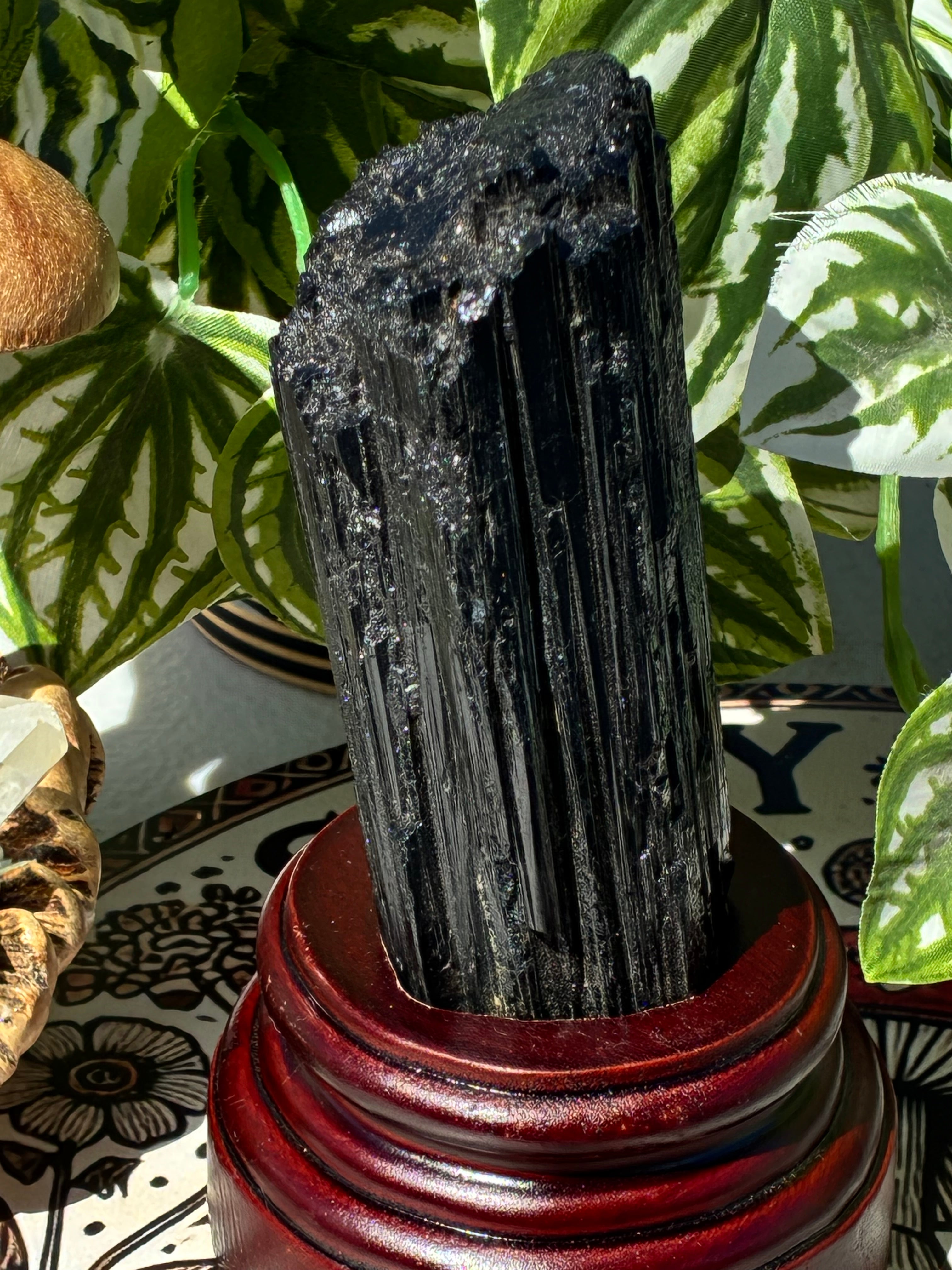 Tourmaline w/Custom Stand