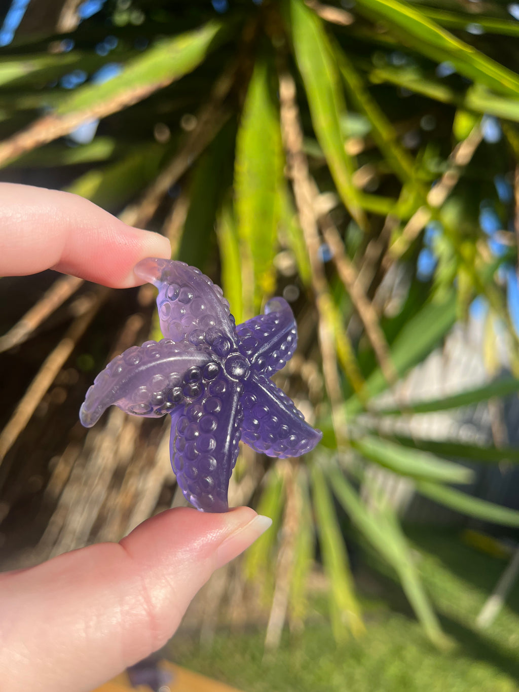 Fluorite Starfish 2