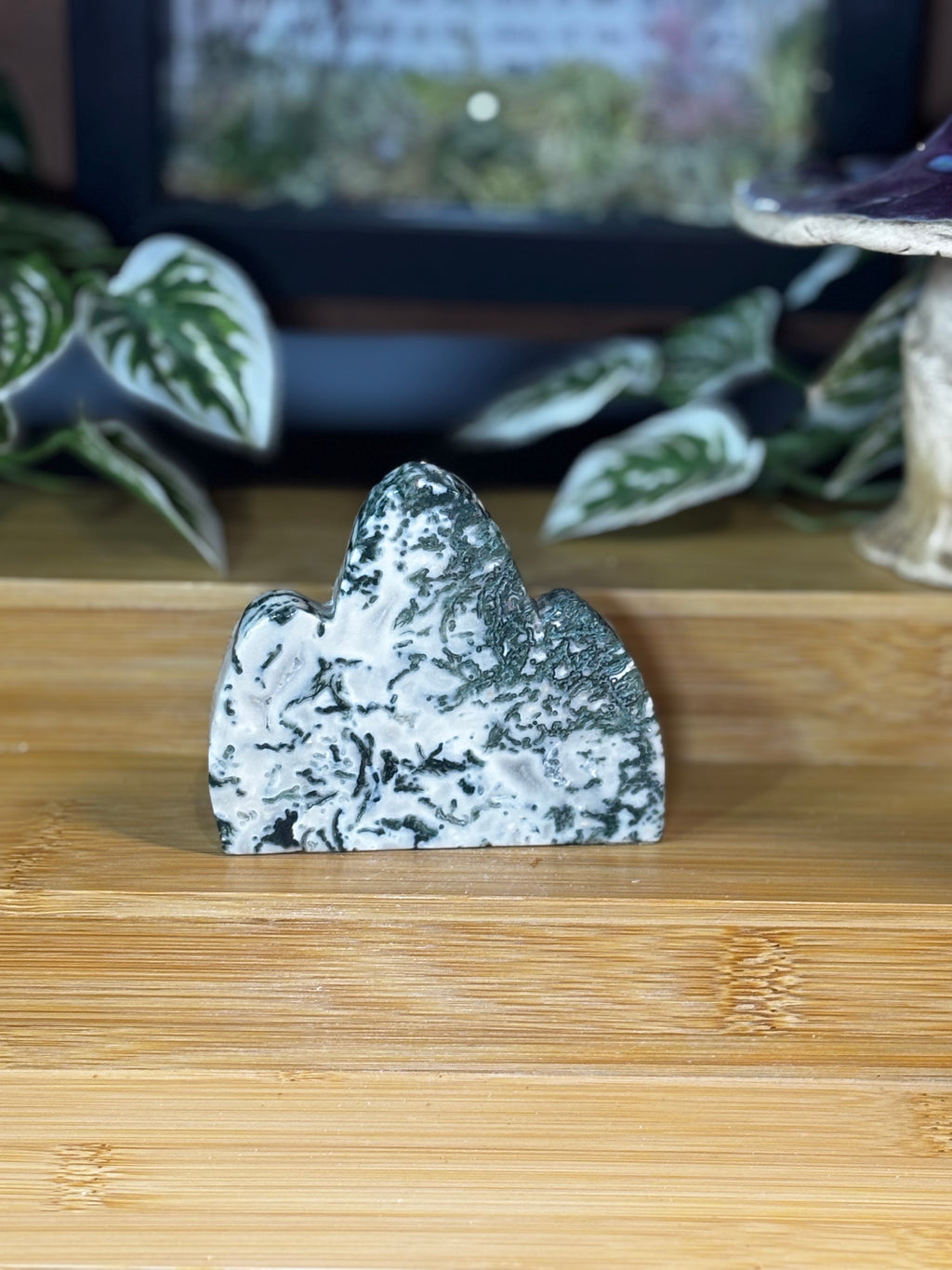 Tree Agate Freeform