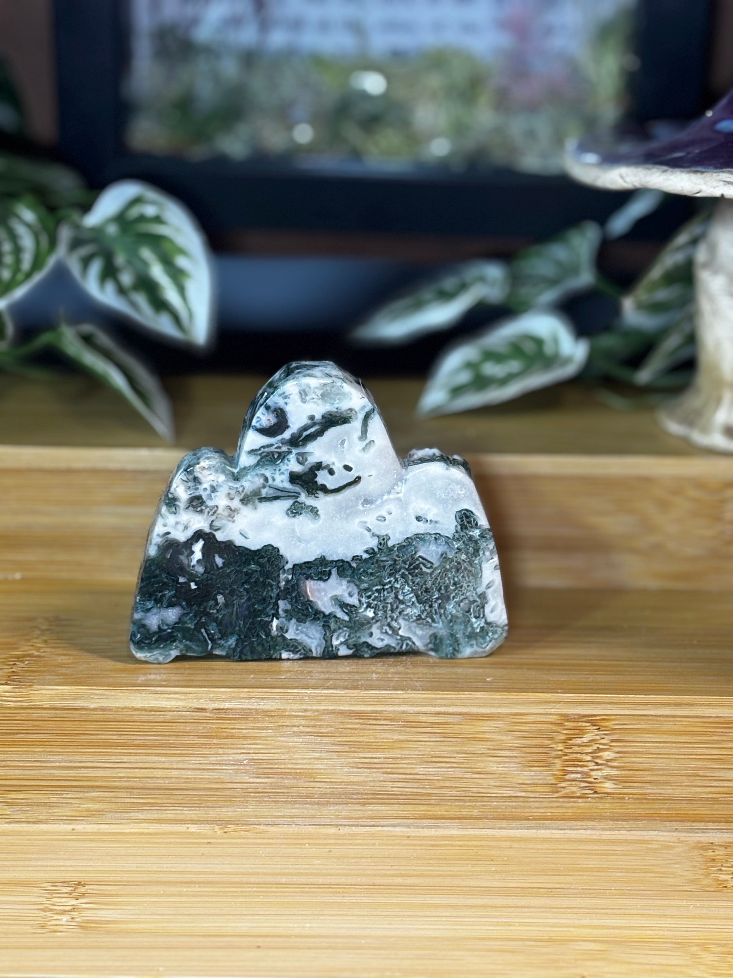 Tree Agate Freeform