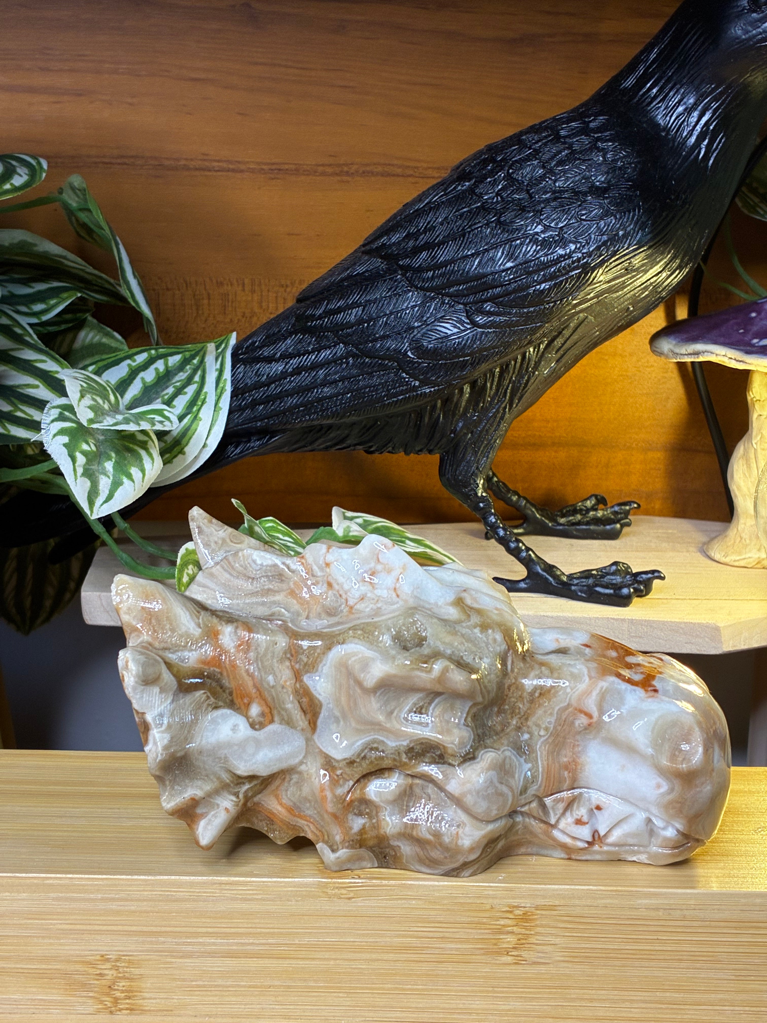 Amber Calcite Dragon Head 1