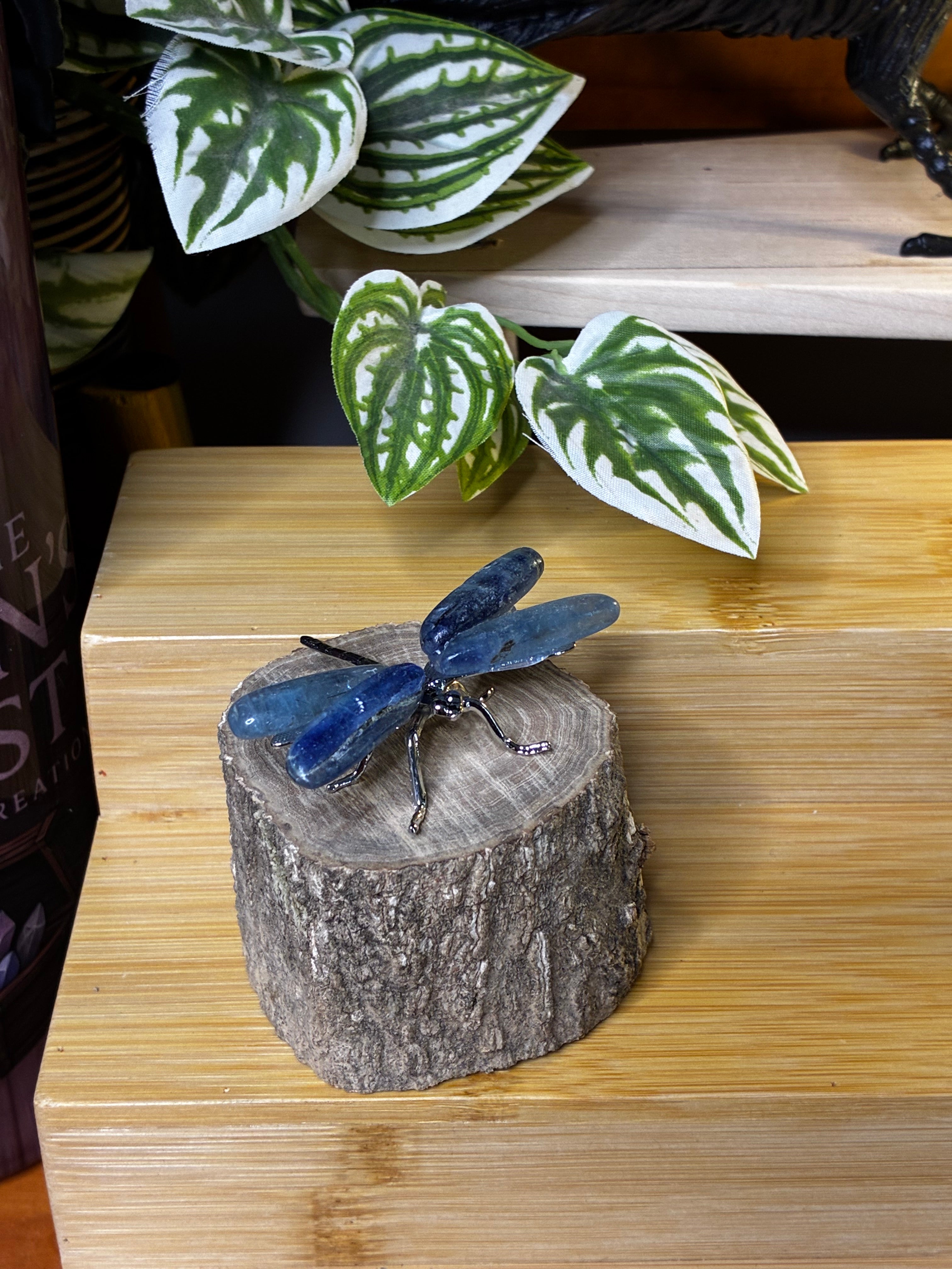 Kyanite Dragonfly