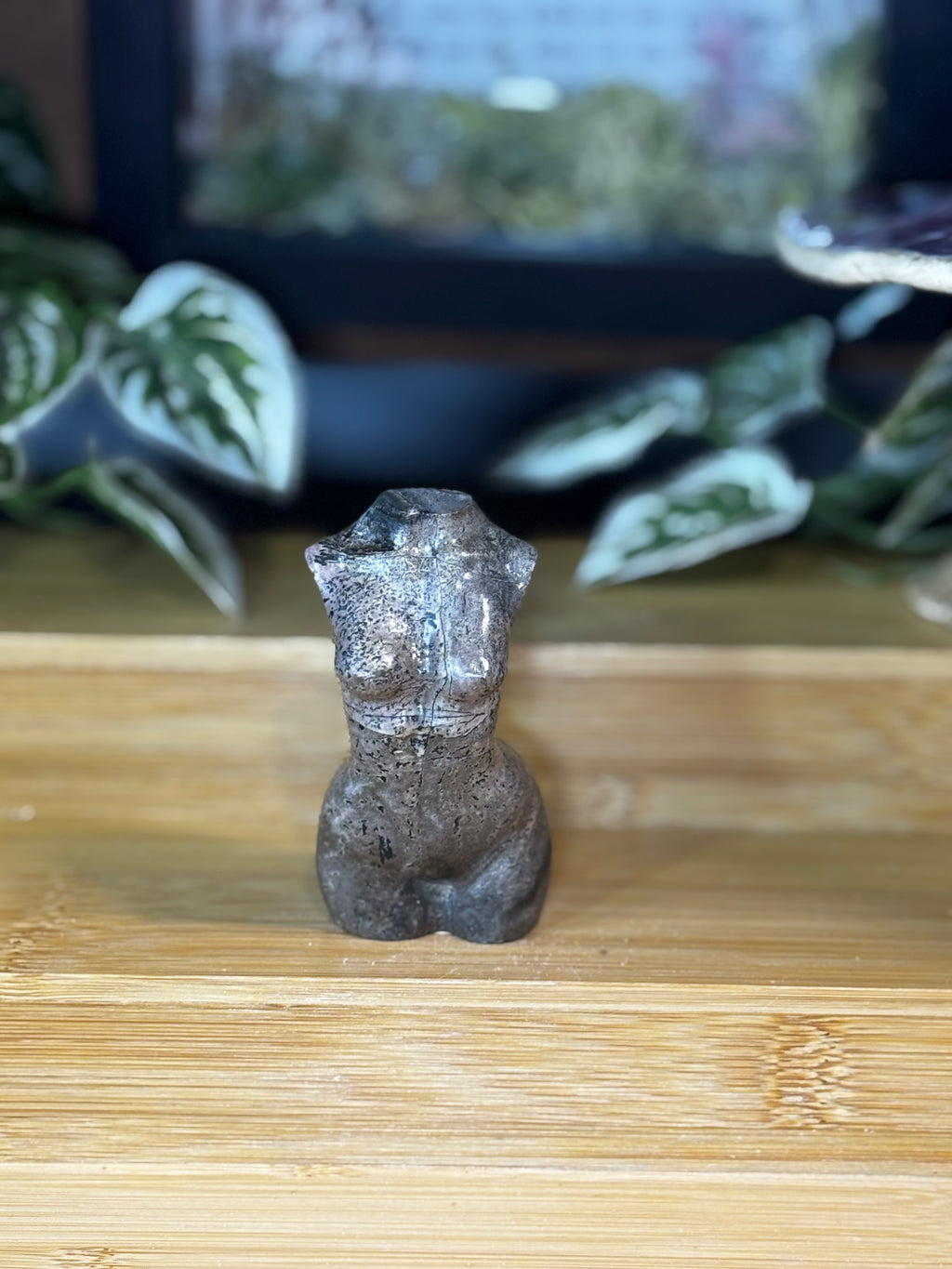Picture Jasper Goddess Body
