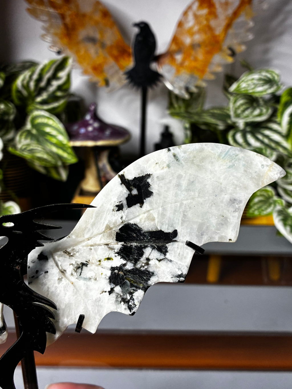 Rainbow Moonstone with Black Tourmaline Dragon Wings on Display Stand