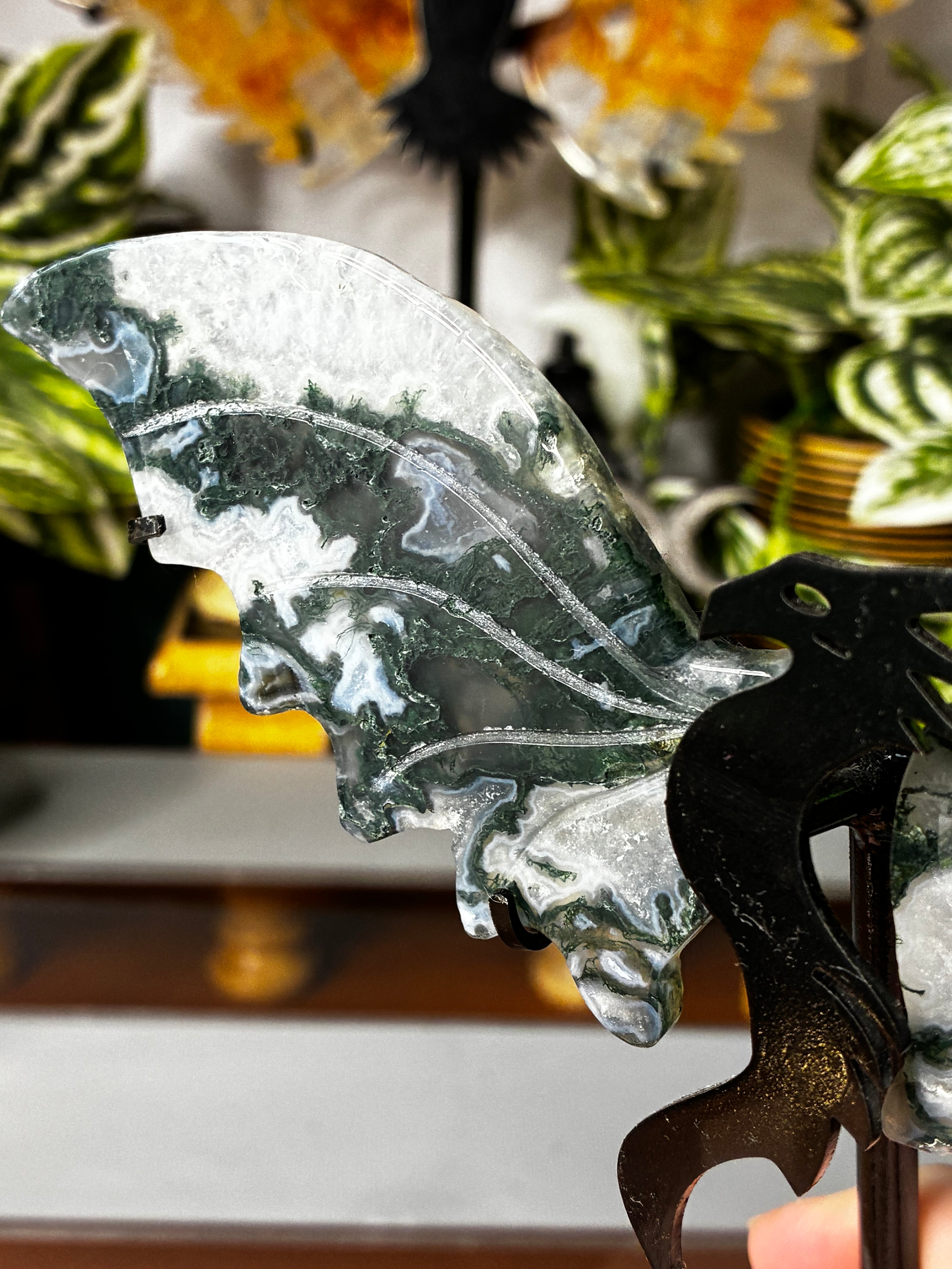 Moss Agate Dragon Wing Set on Stand