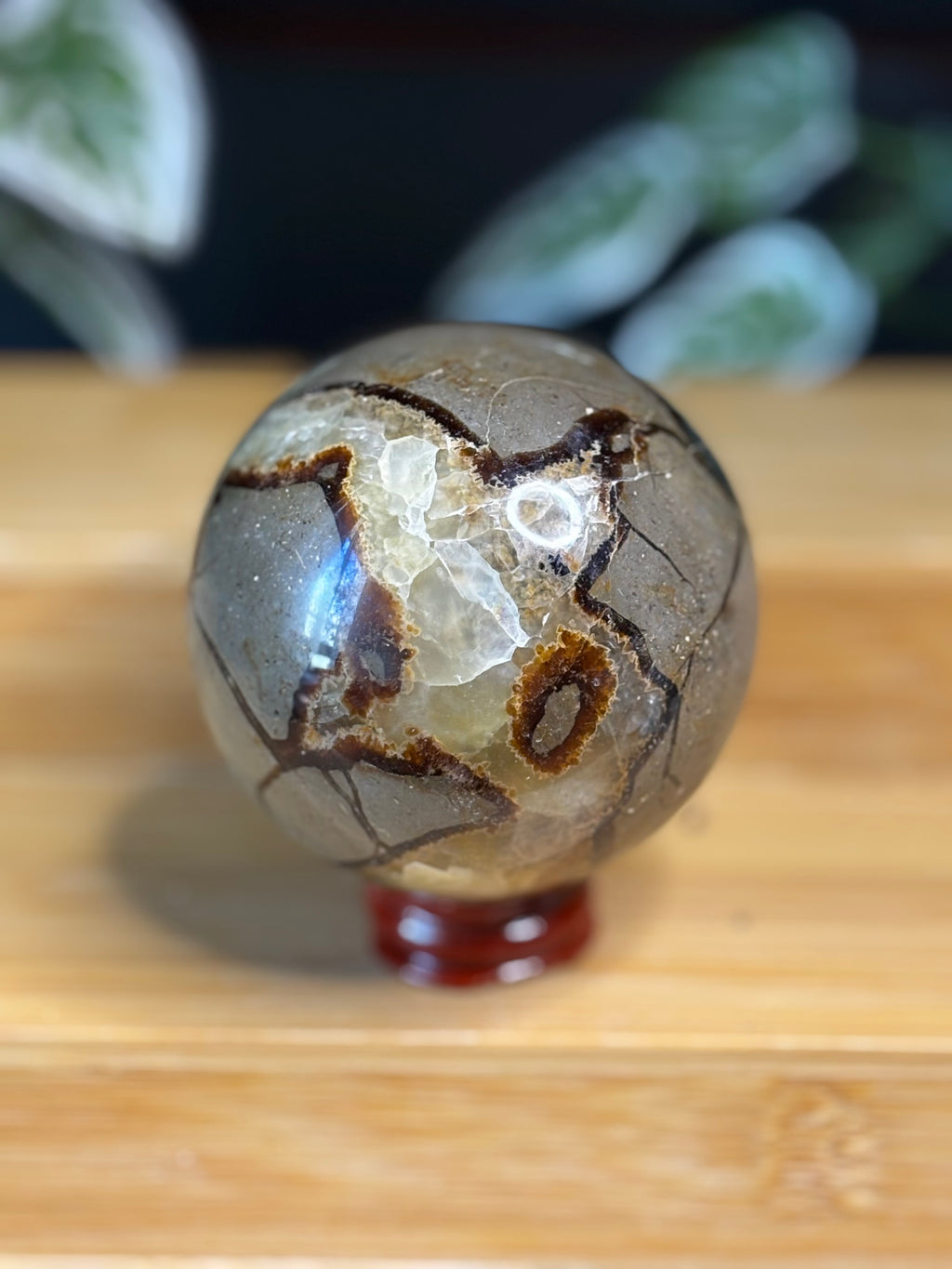 Septarian Sphere 1