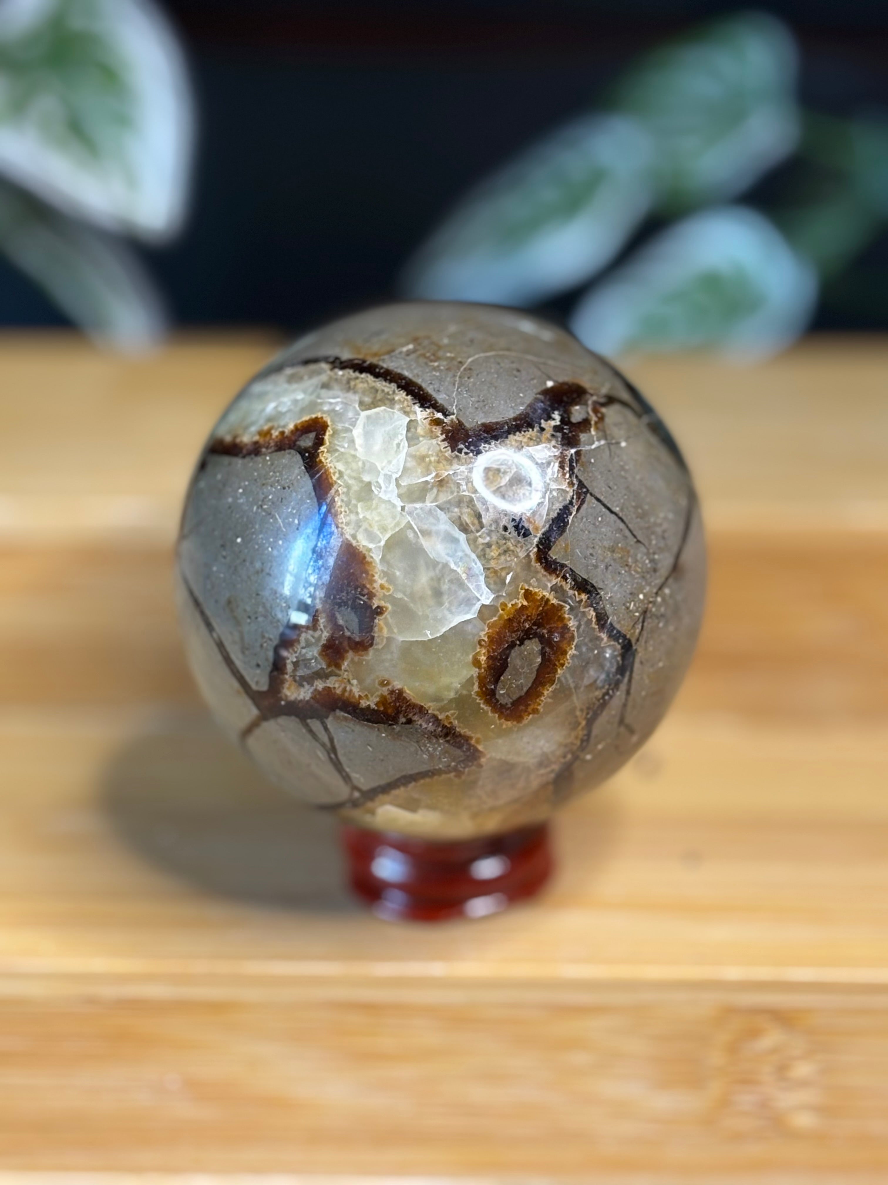 Septarian Sphere 1