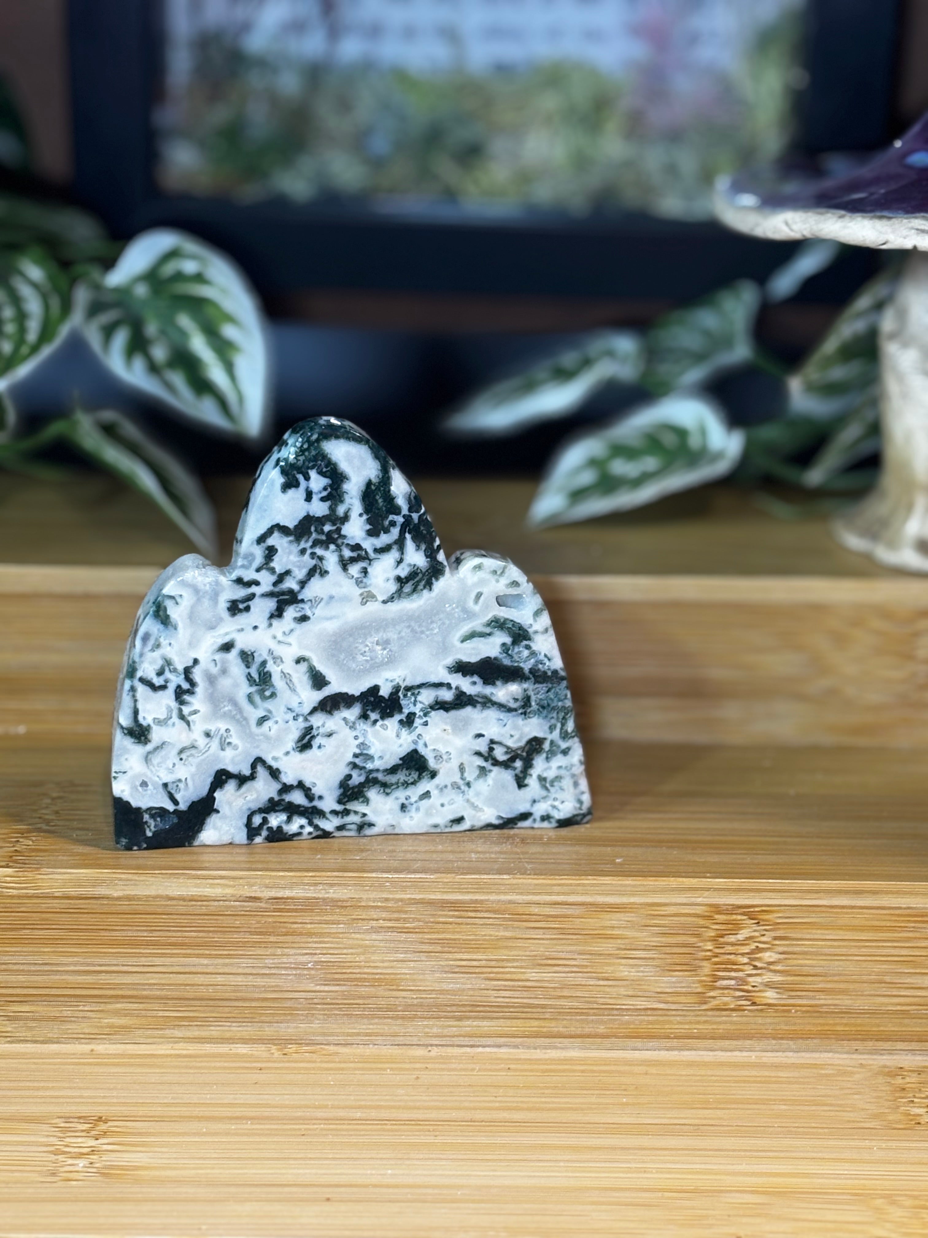 Tree Agate Freeform