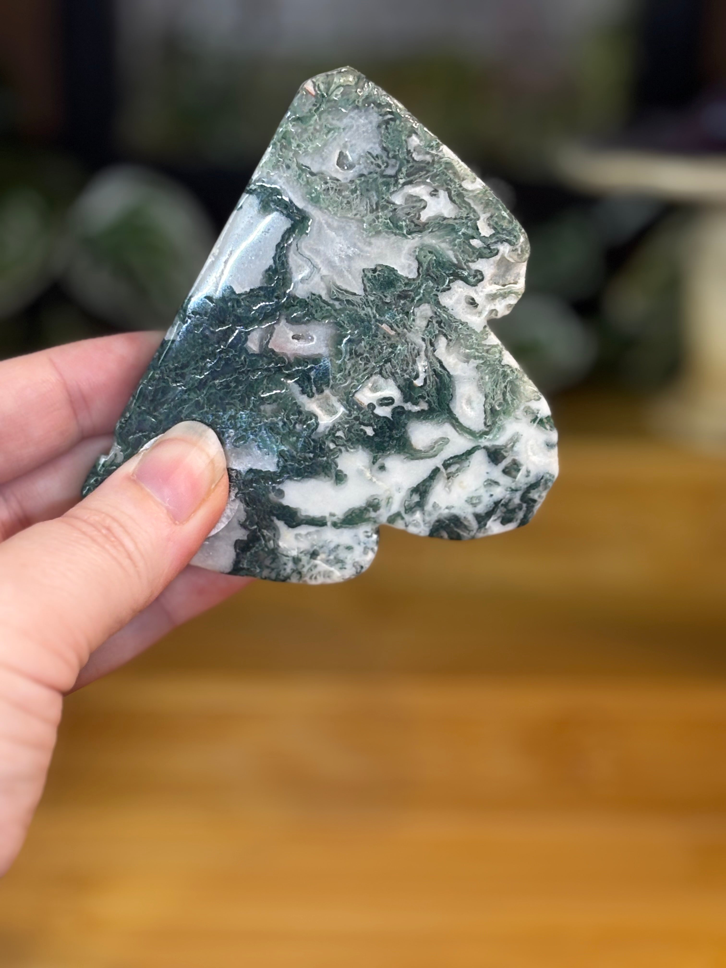 Tree Agate Freeform