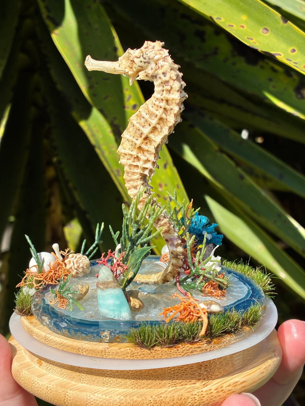 The Drowned Keeper Curio