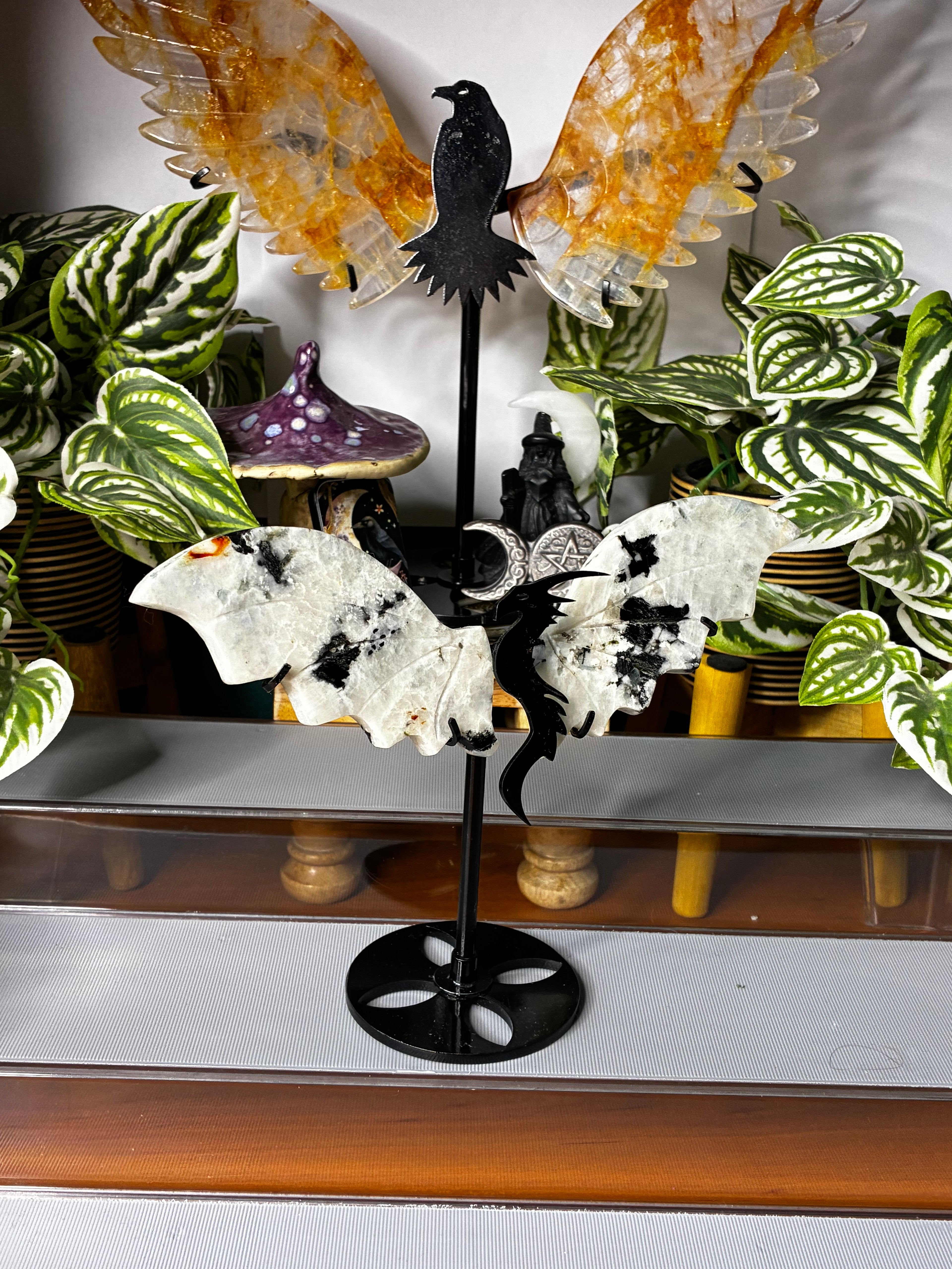 Rainbow Moonstone with Black Tourmaline Dragon Wings on Display Stand