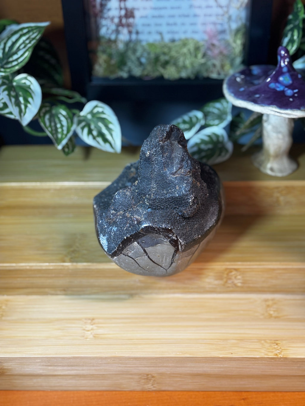 Septarian Freeform