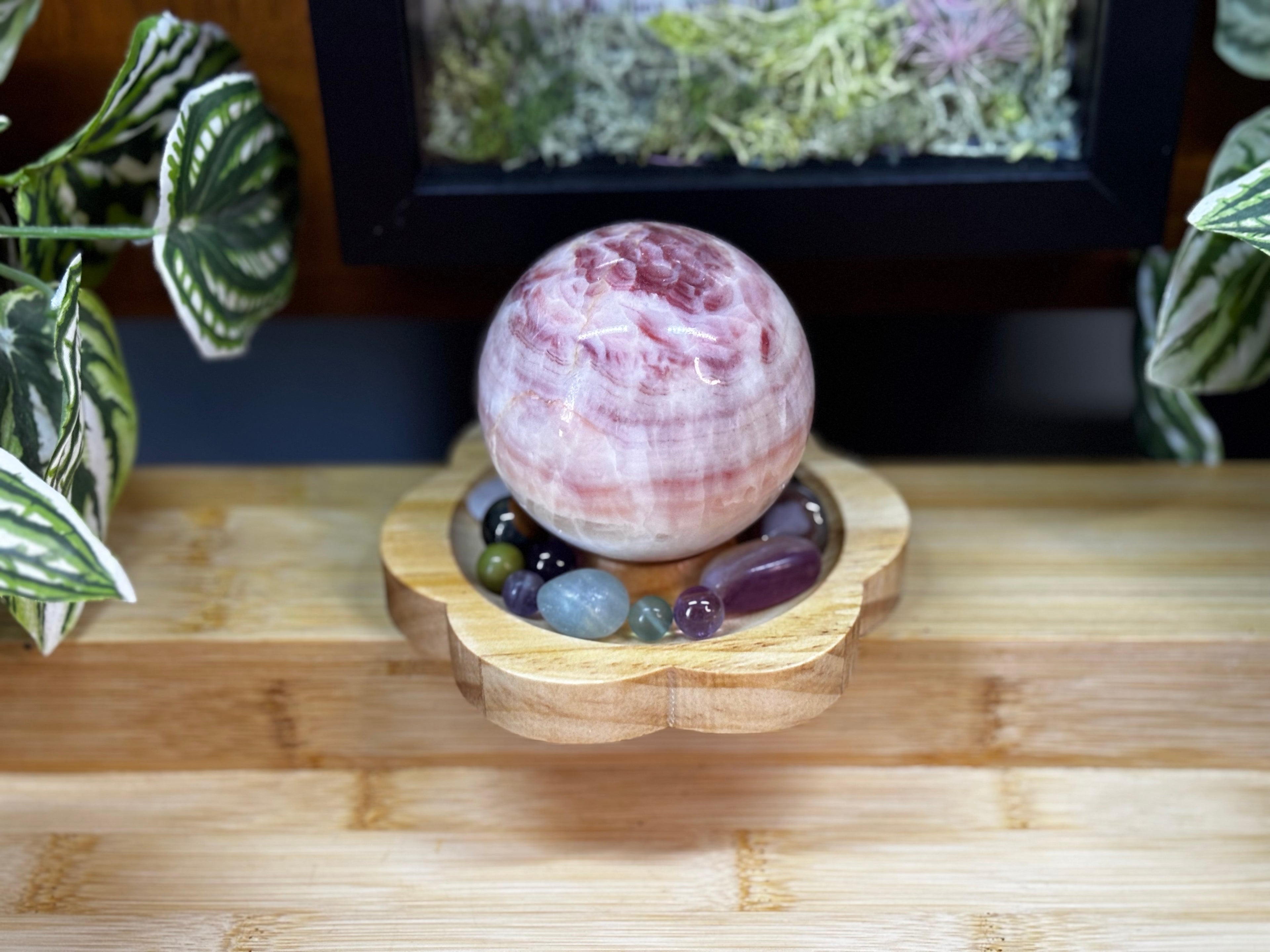 Wooden Egg/Sphere Stands