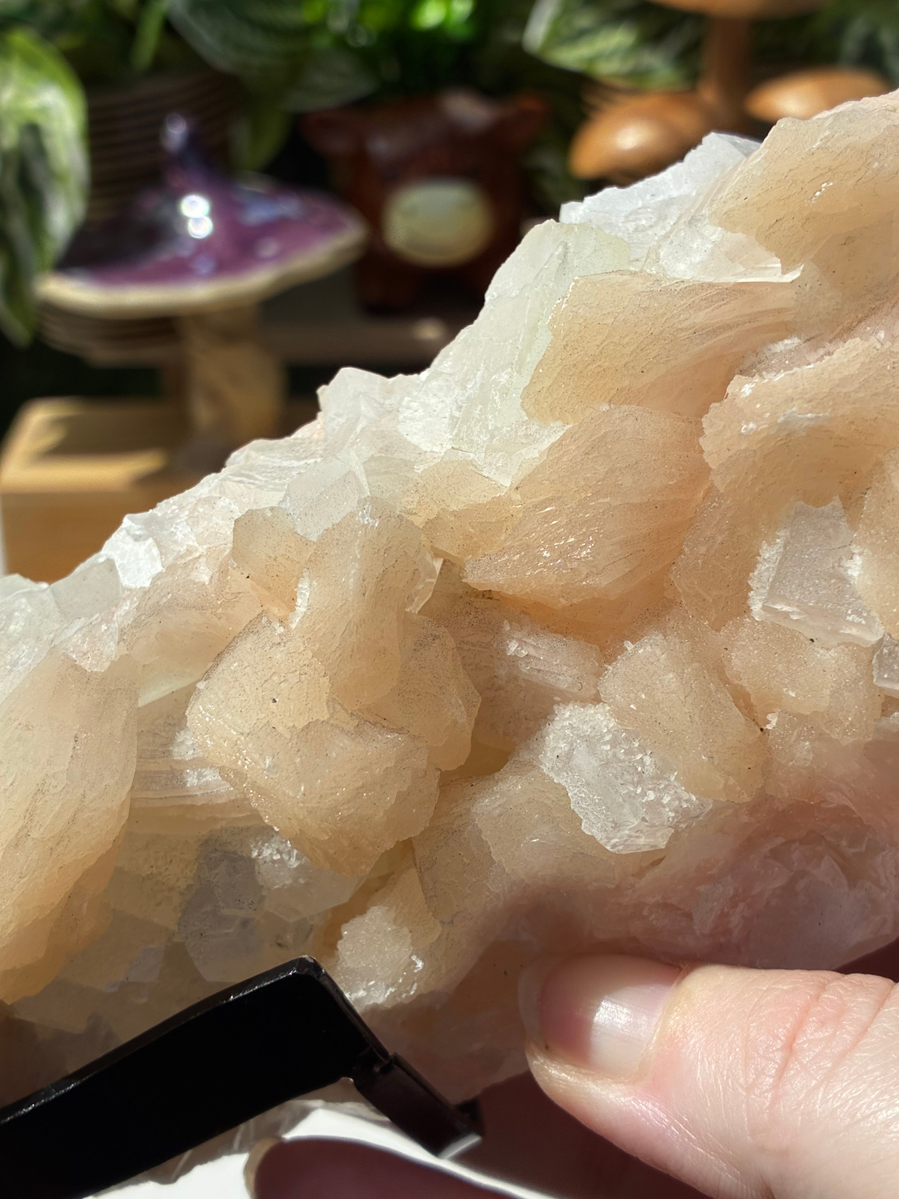 Apophyllite ✧ Stilbite Statement Specimen