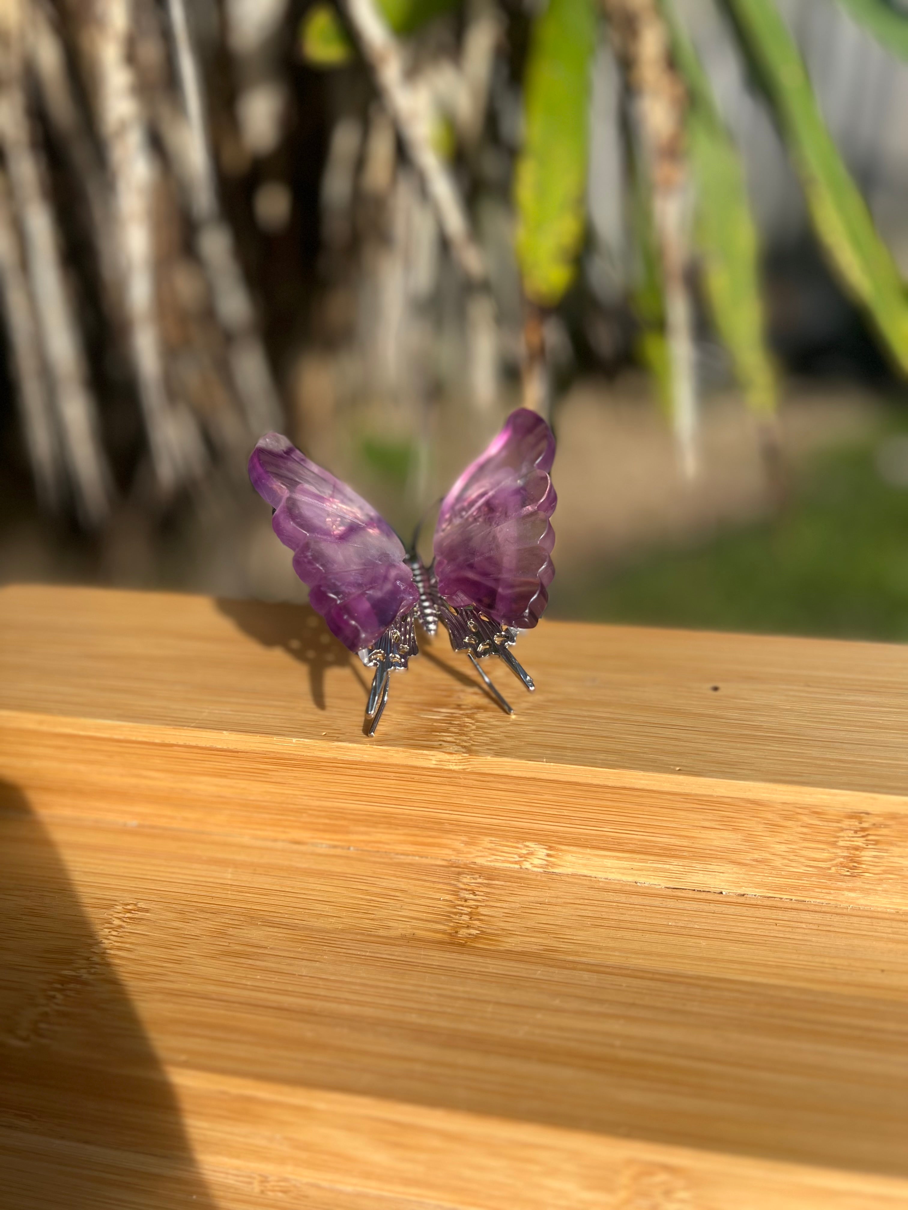 Fluorite Butterfly 4