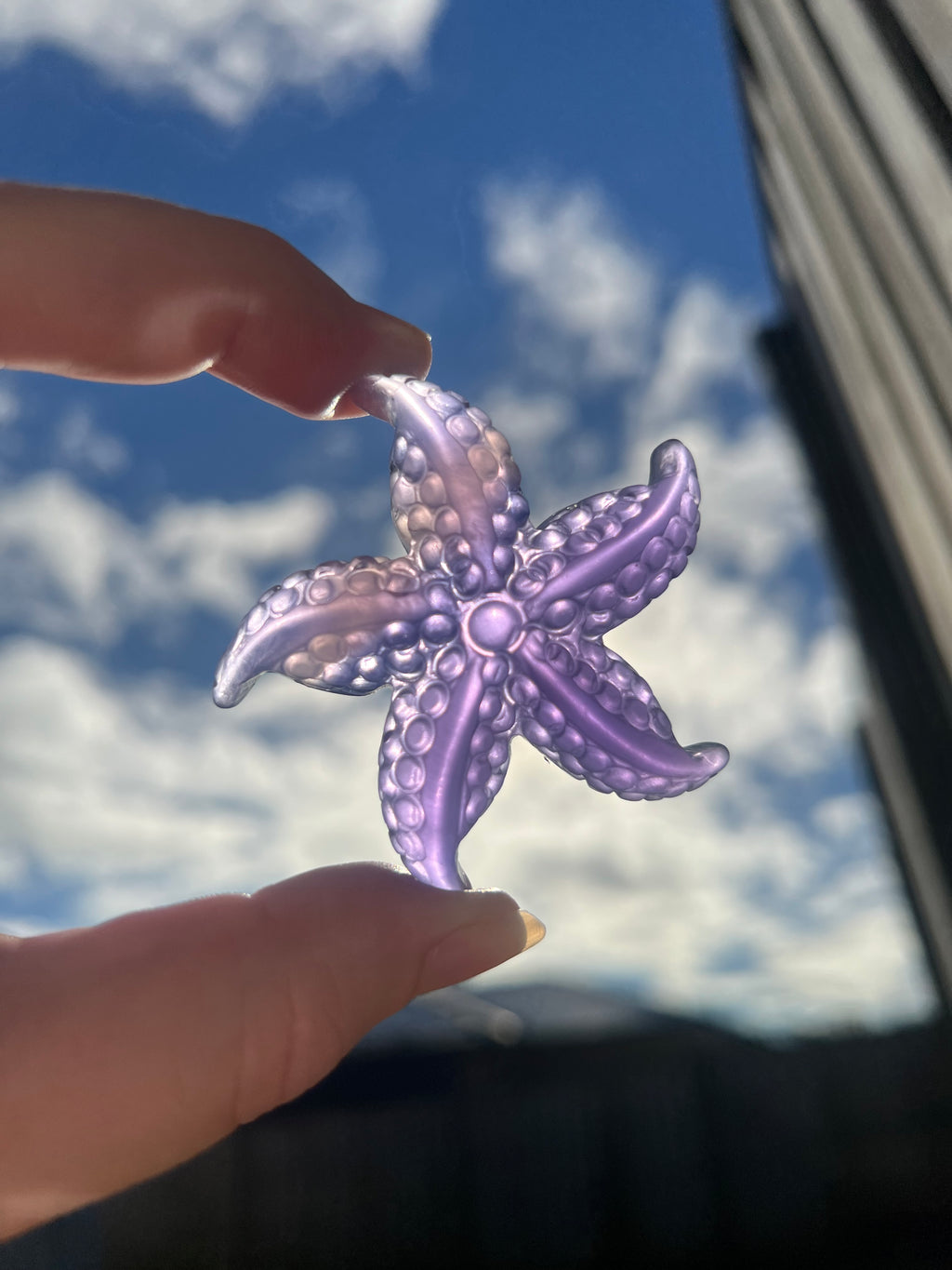 Fluorite Starfish 2