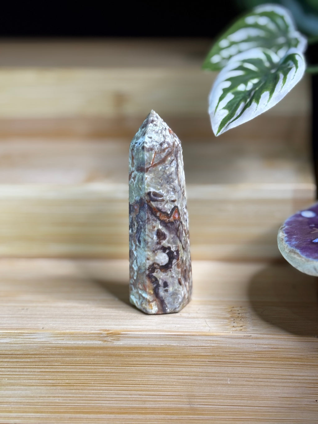 Money Agate Point 2
