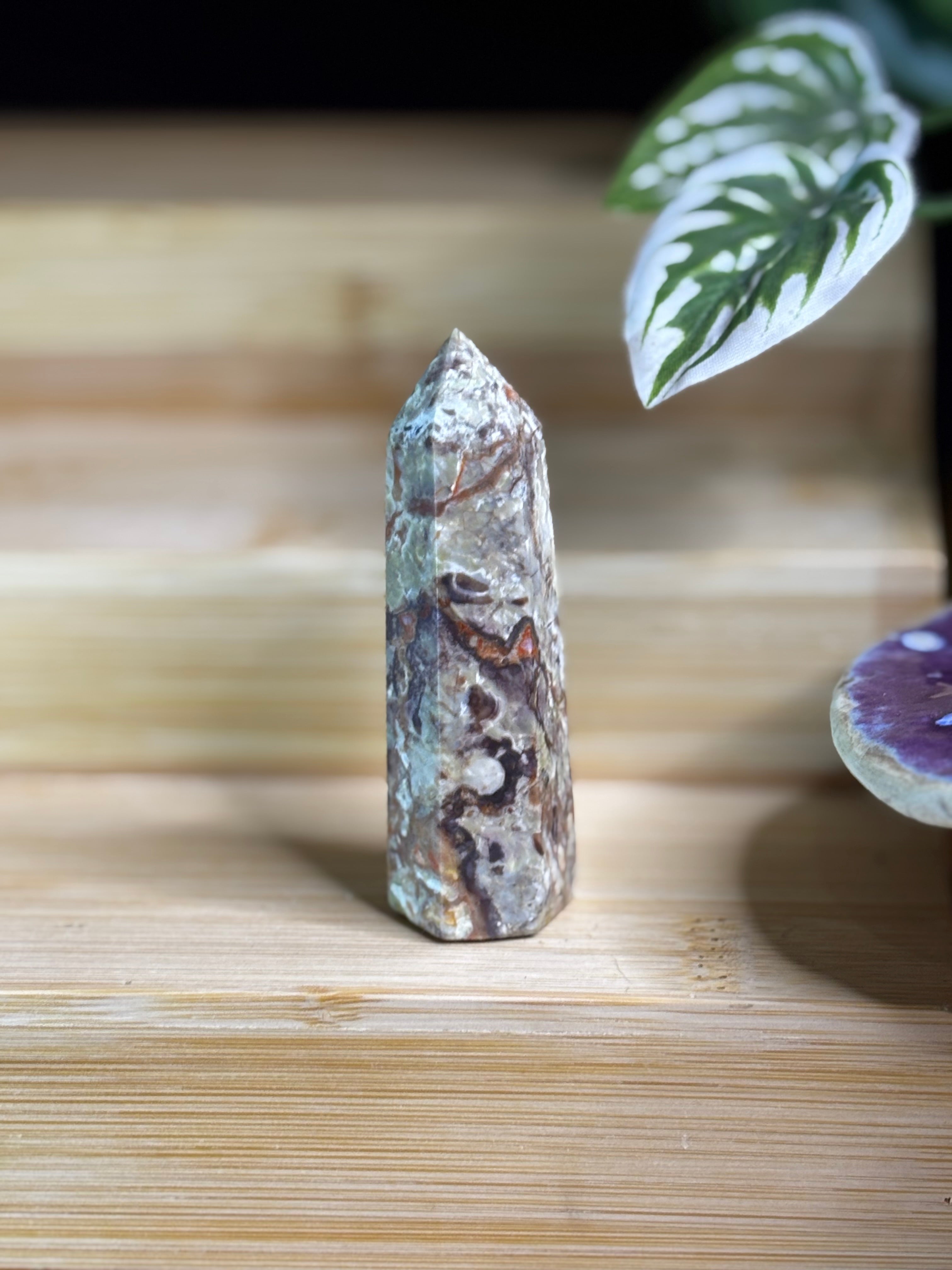 Money Agate Point 2