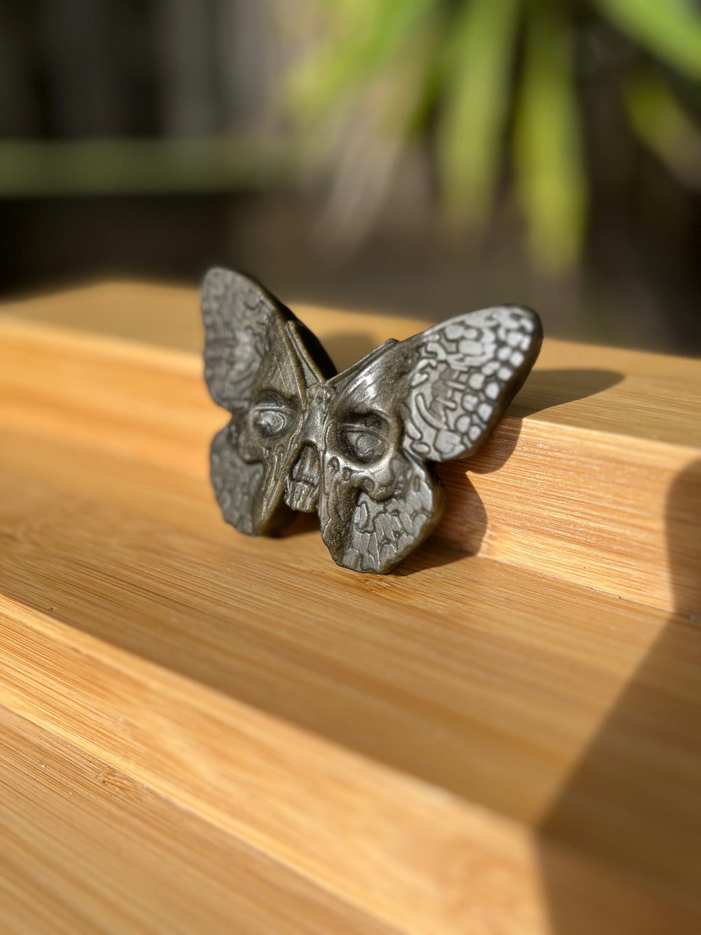 Gold Sheen Obsidian Death Head Moth