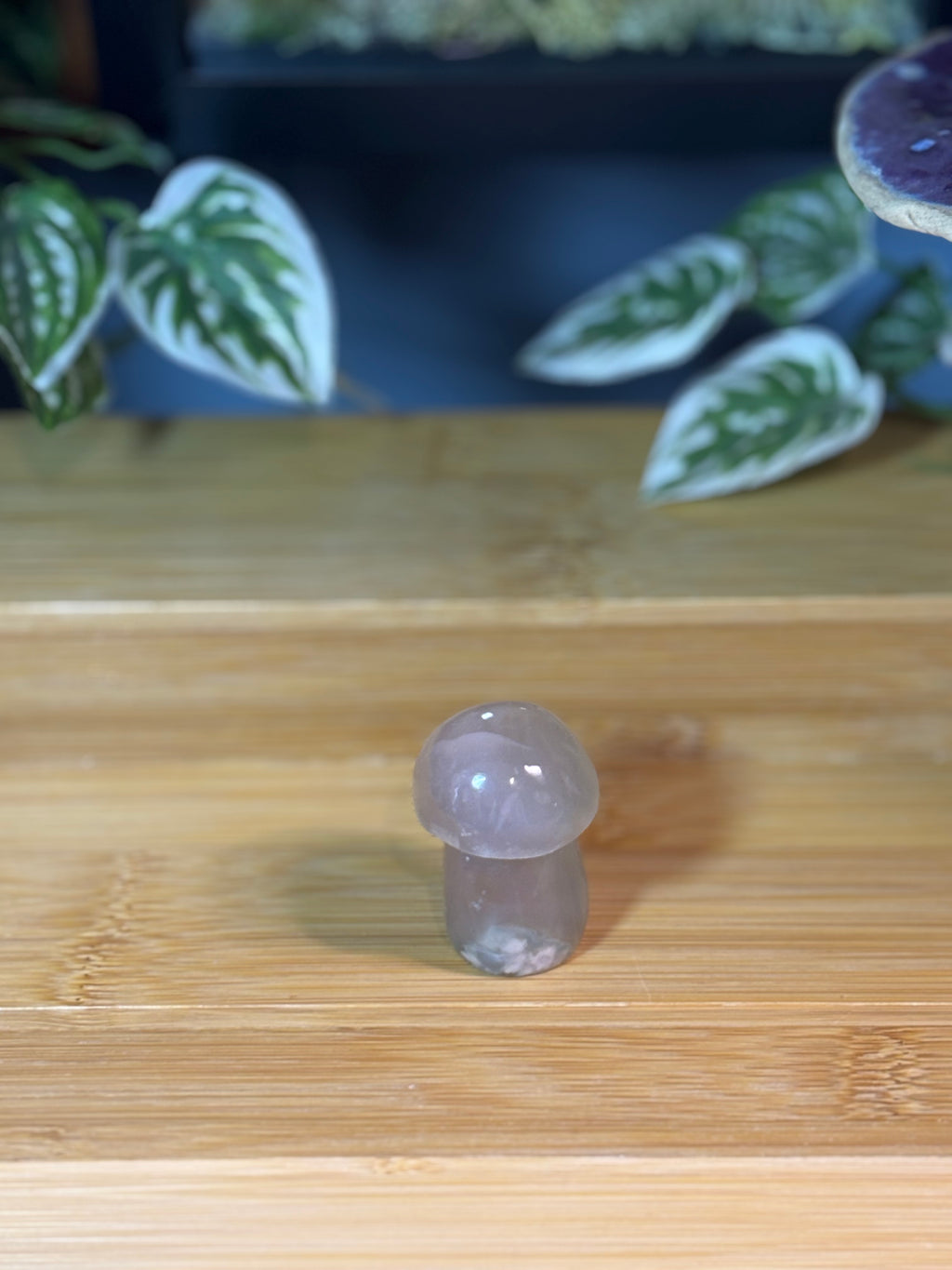Flower Agate Mushroom
