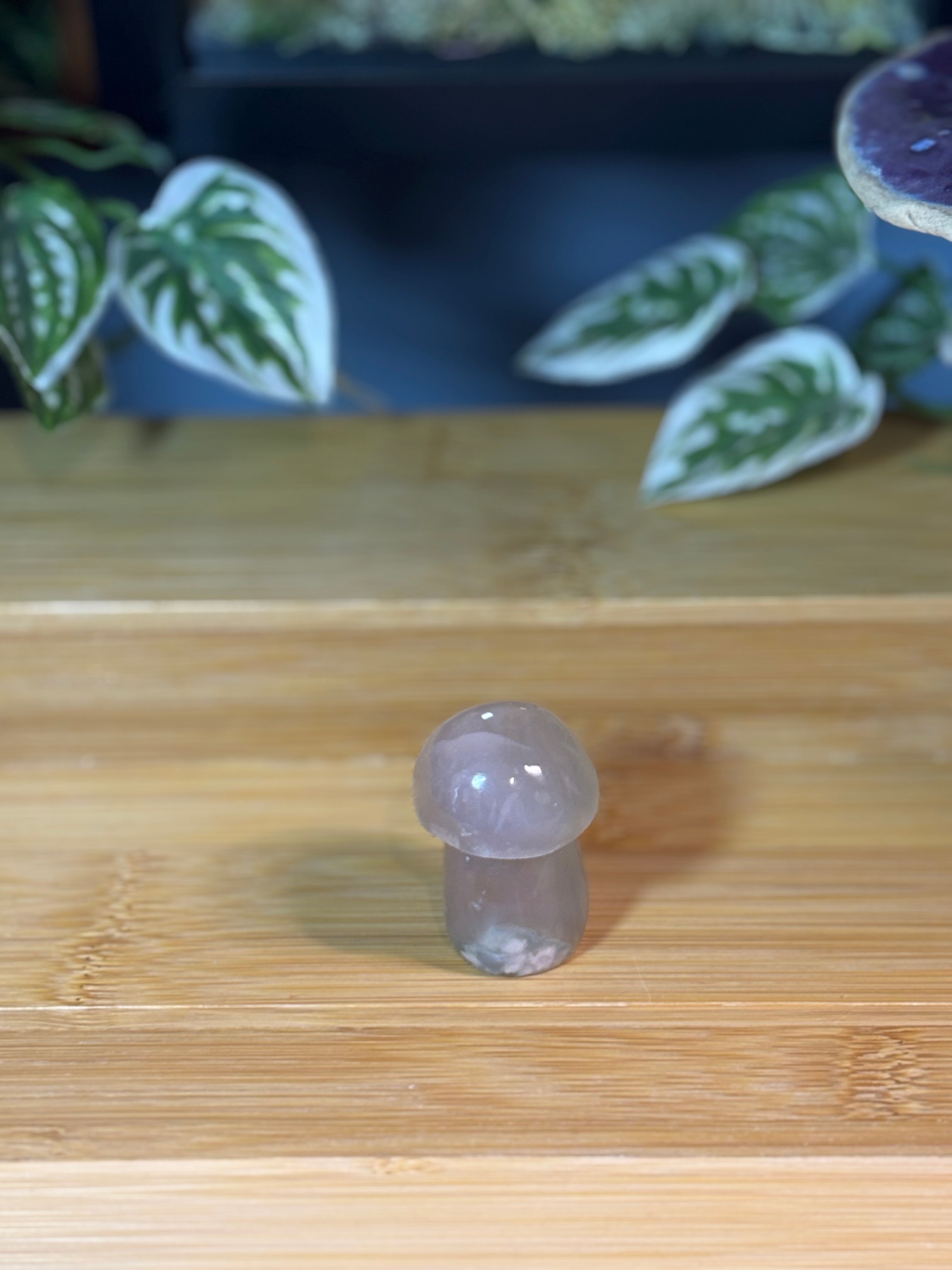 Flower Agate Mushroom